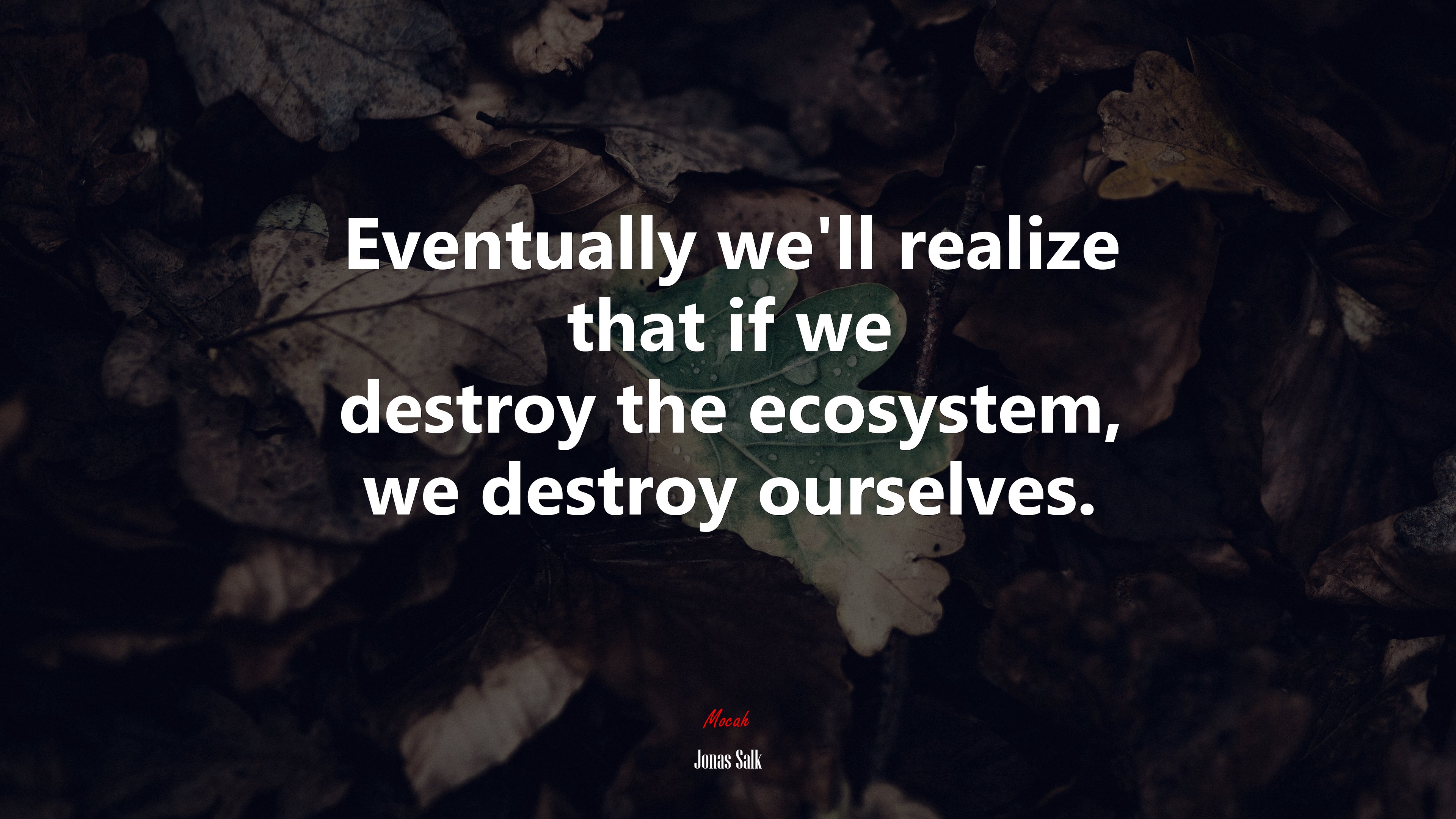 Eventually we’ll realize that if we destroy the ecosystem, we destroy ourselves. | Jonas Salk quote HD Wallpaper