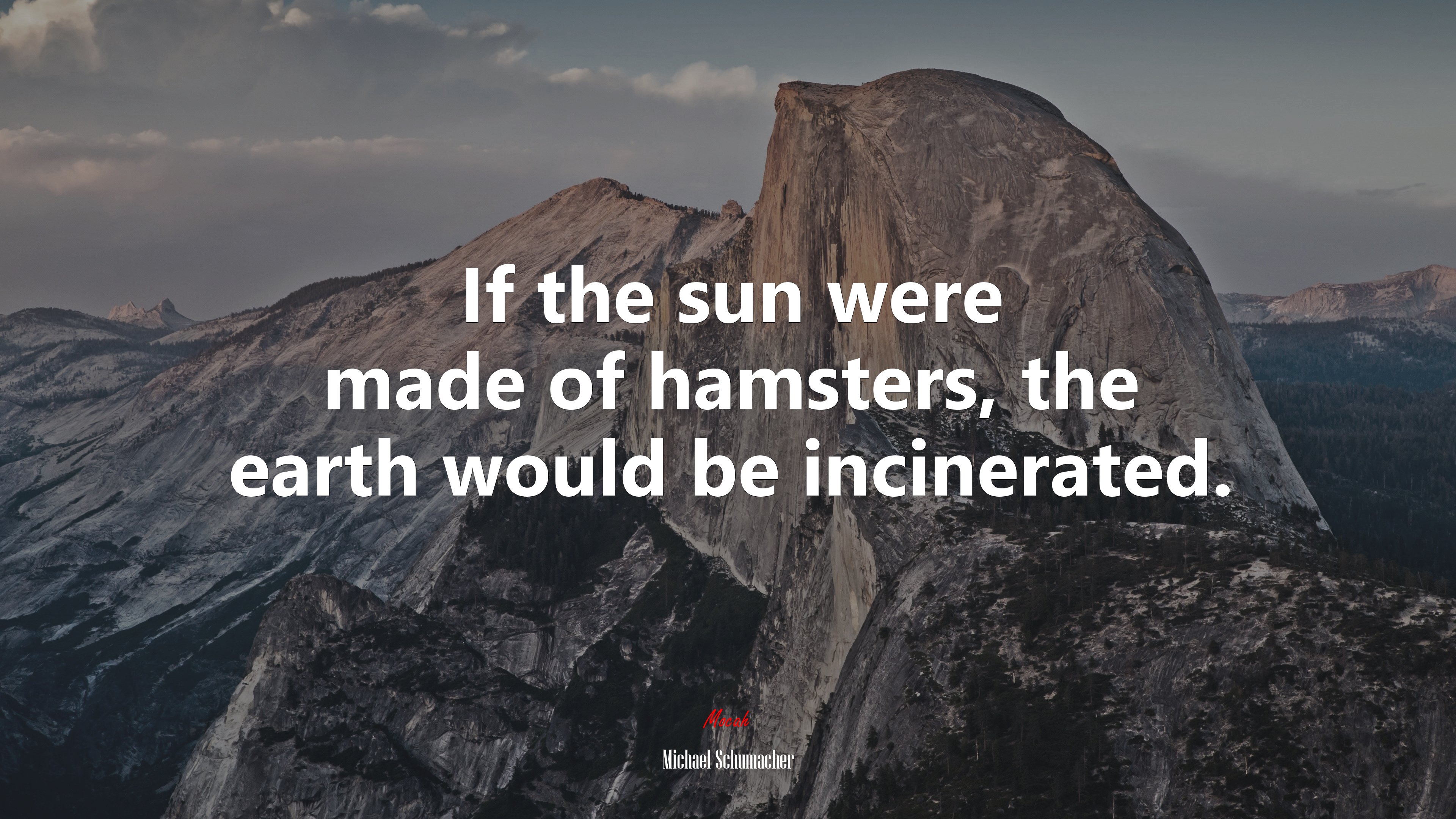 If the sun were made of hamsters, the earth would be incinerated. | Michael Schumacher quote HD Wallpaper