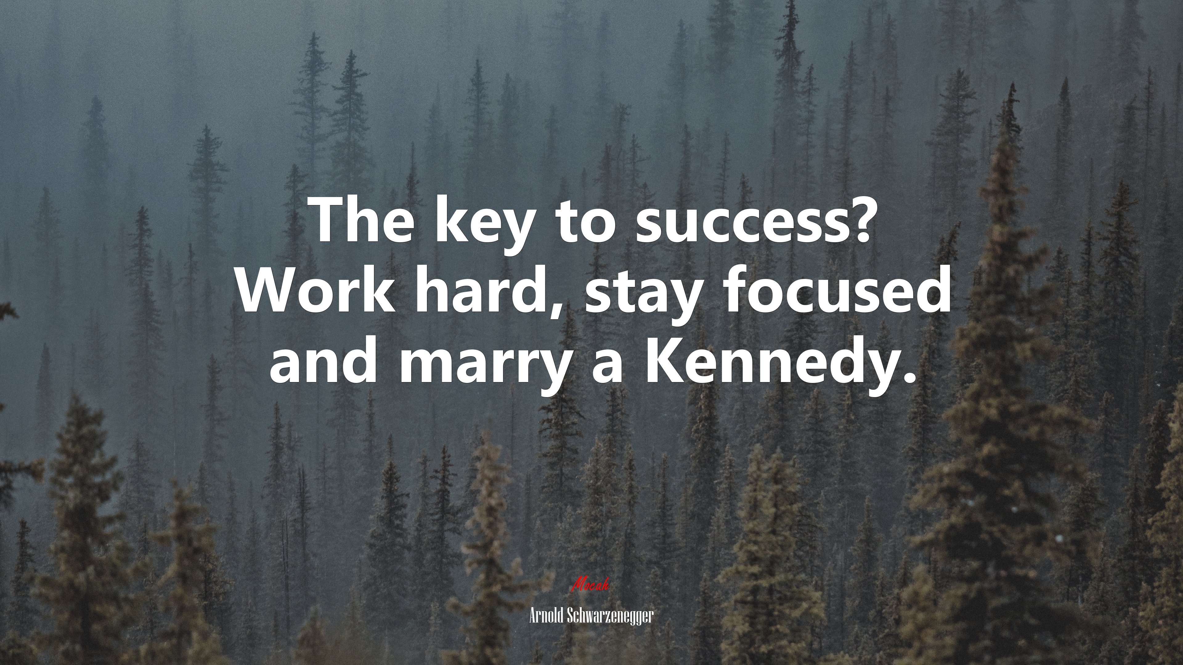 The key to success? Work hard, stay focused and marry a Kennedy. | Arnold Schwarzenegger quote HD Wallpaper