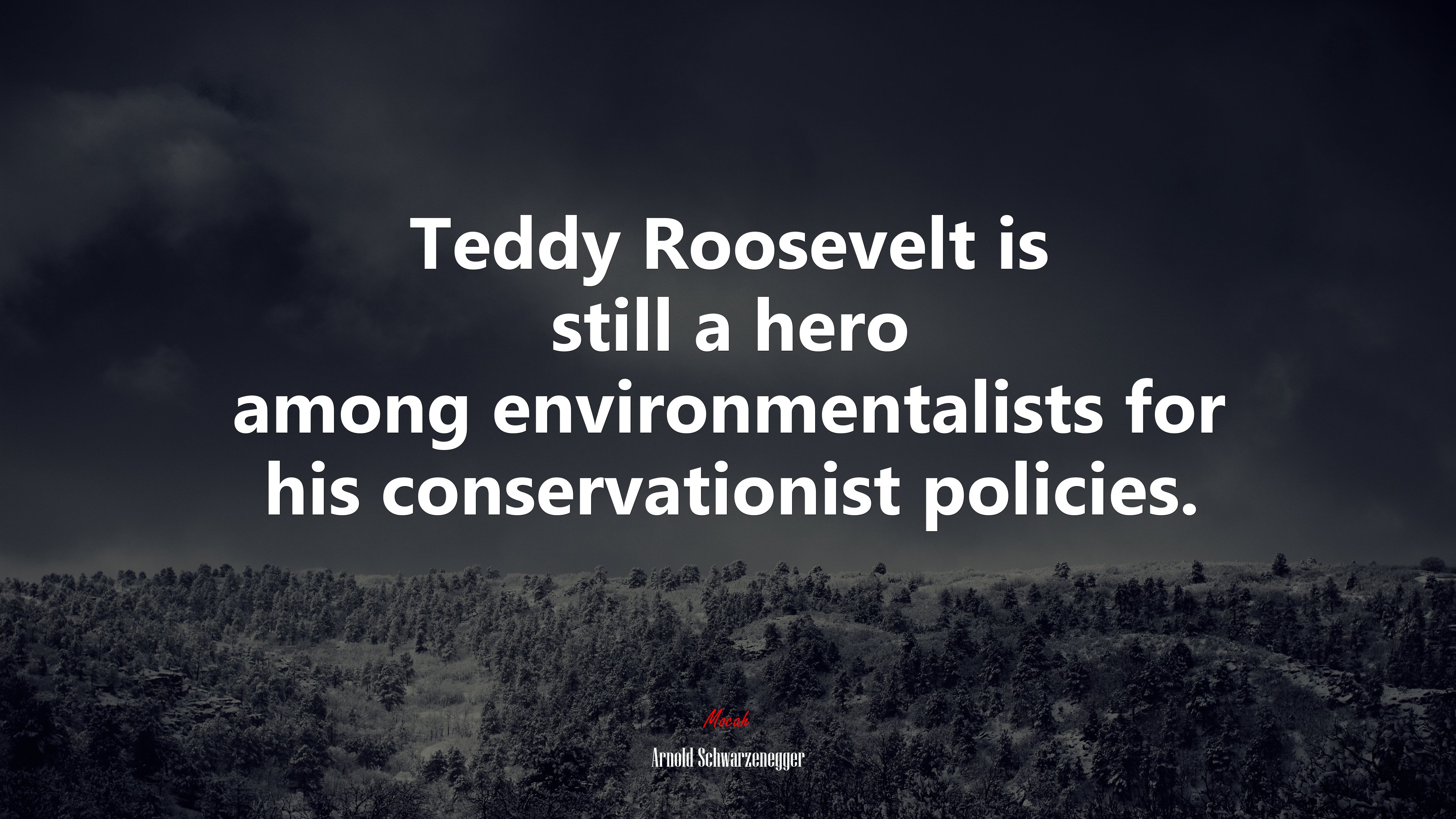Teddy Roosevelt is still a hero among environmentalists for his conservationist policies. | Arnold Schwarzenegger quote HD Wallpaper