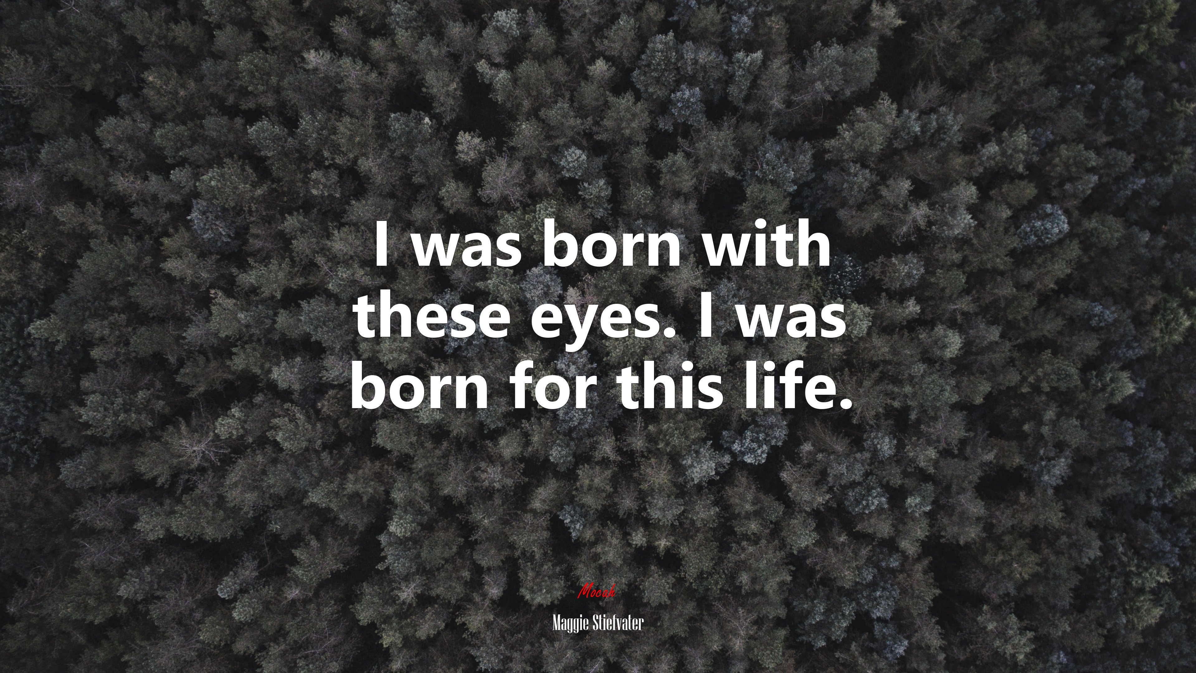 I was born with these eyes. I was born for this life. | Maggie Stiefvater quote HD Wallpaper