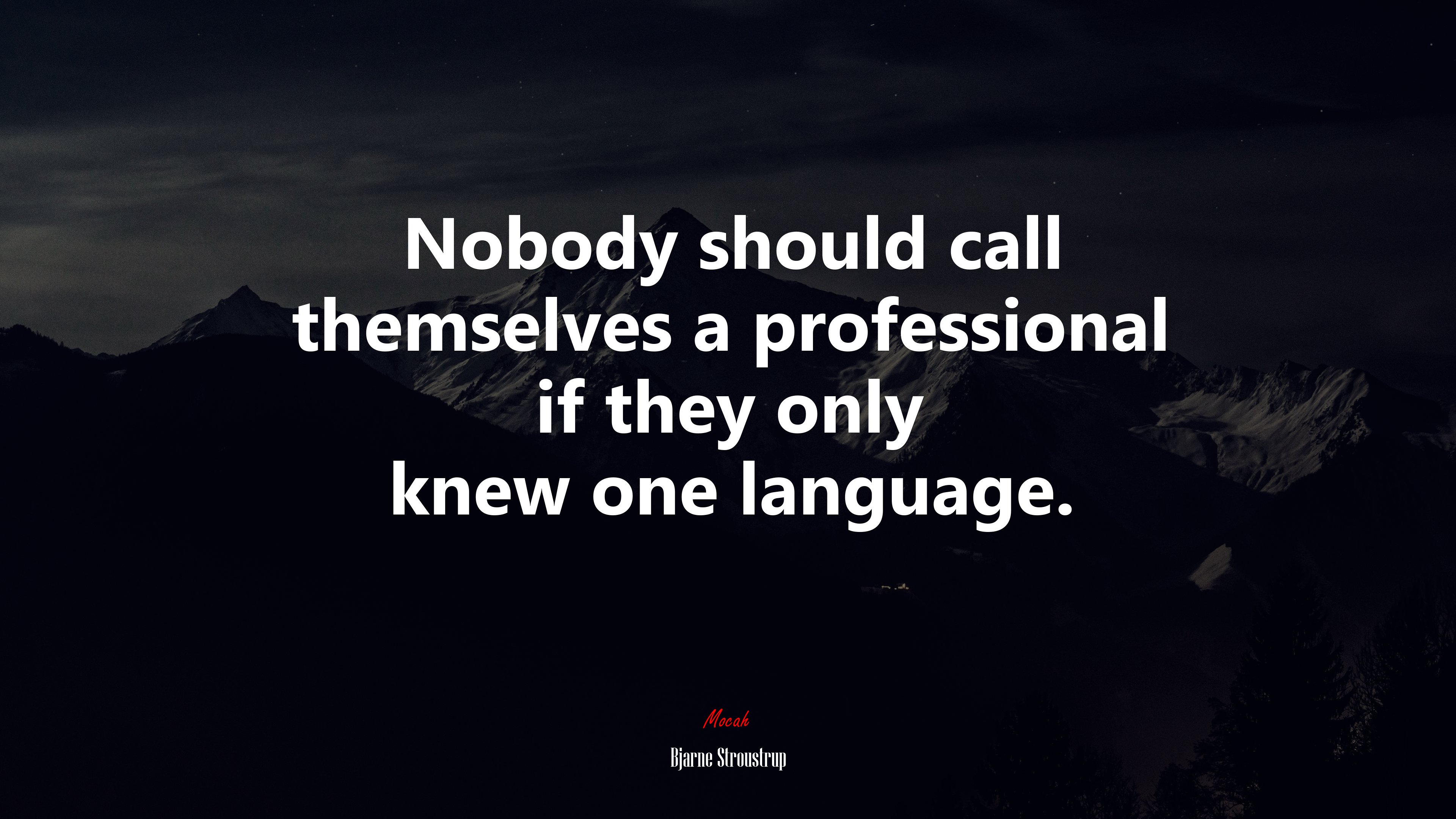 Nobody should call themselves a professional if they only knew one language. | Bjarne Stroustrup quote HD Wallpaper
