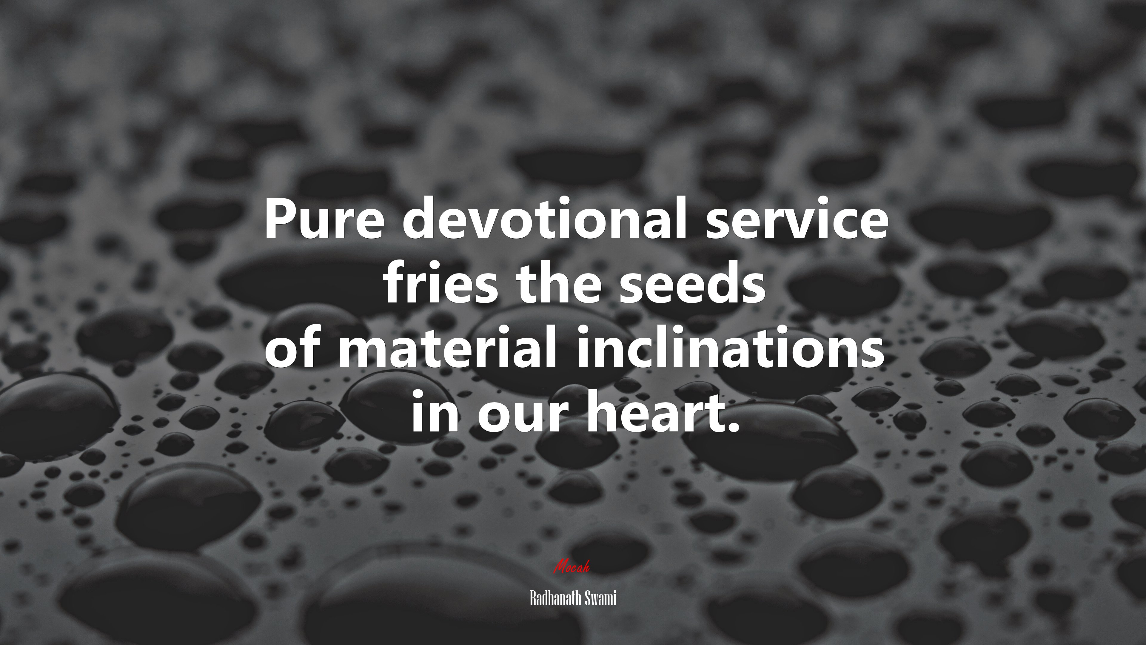 Pure devotional service fries the seeds of material inclinations in our heart. | Radhanath Swami quote HD Wallpaper