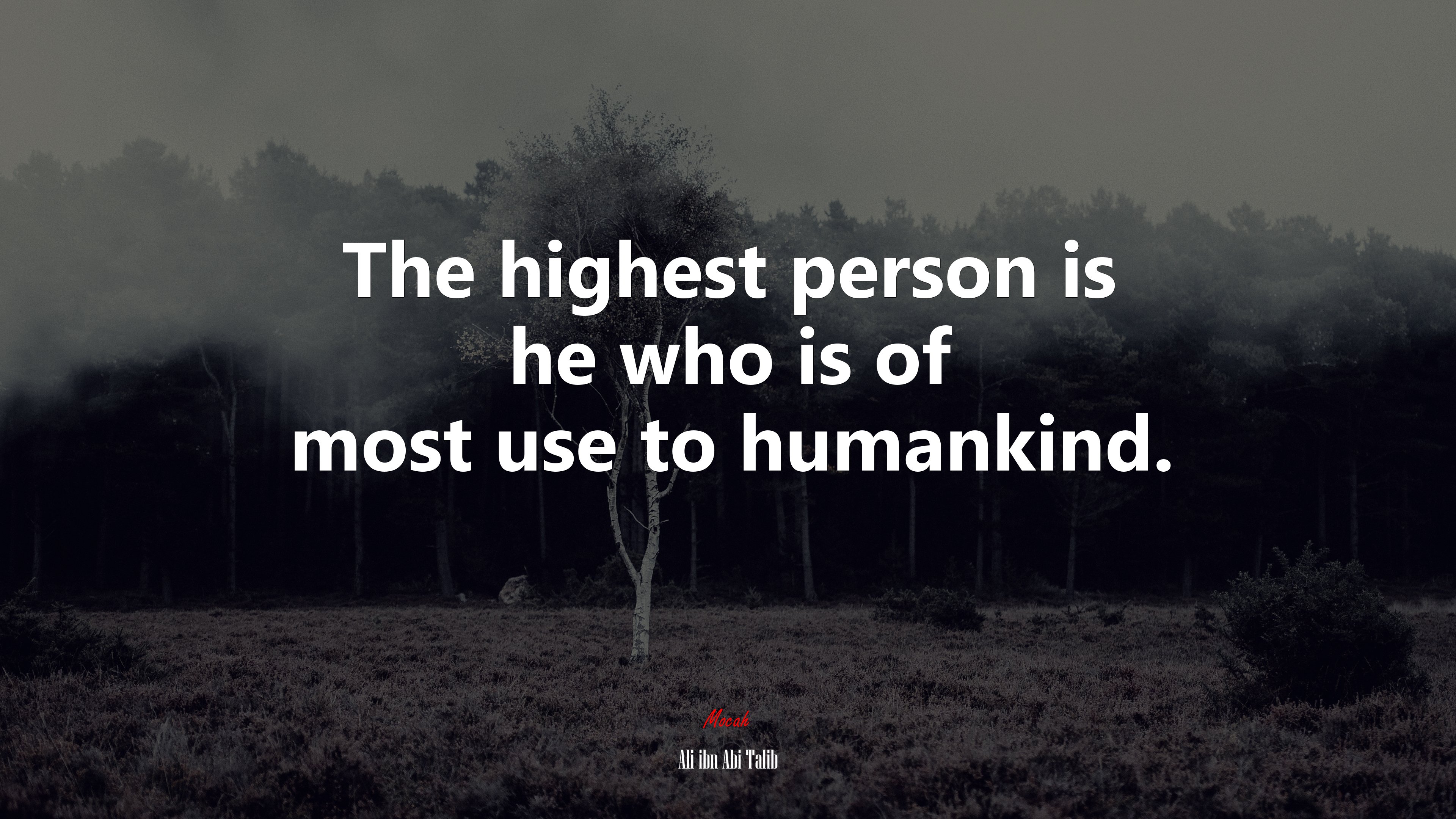 The highest person is he who is of most use to humankind. | Ali ibn Abi Talib quote HD Wallpaper
