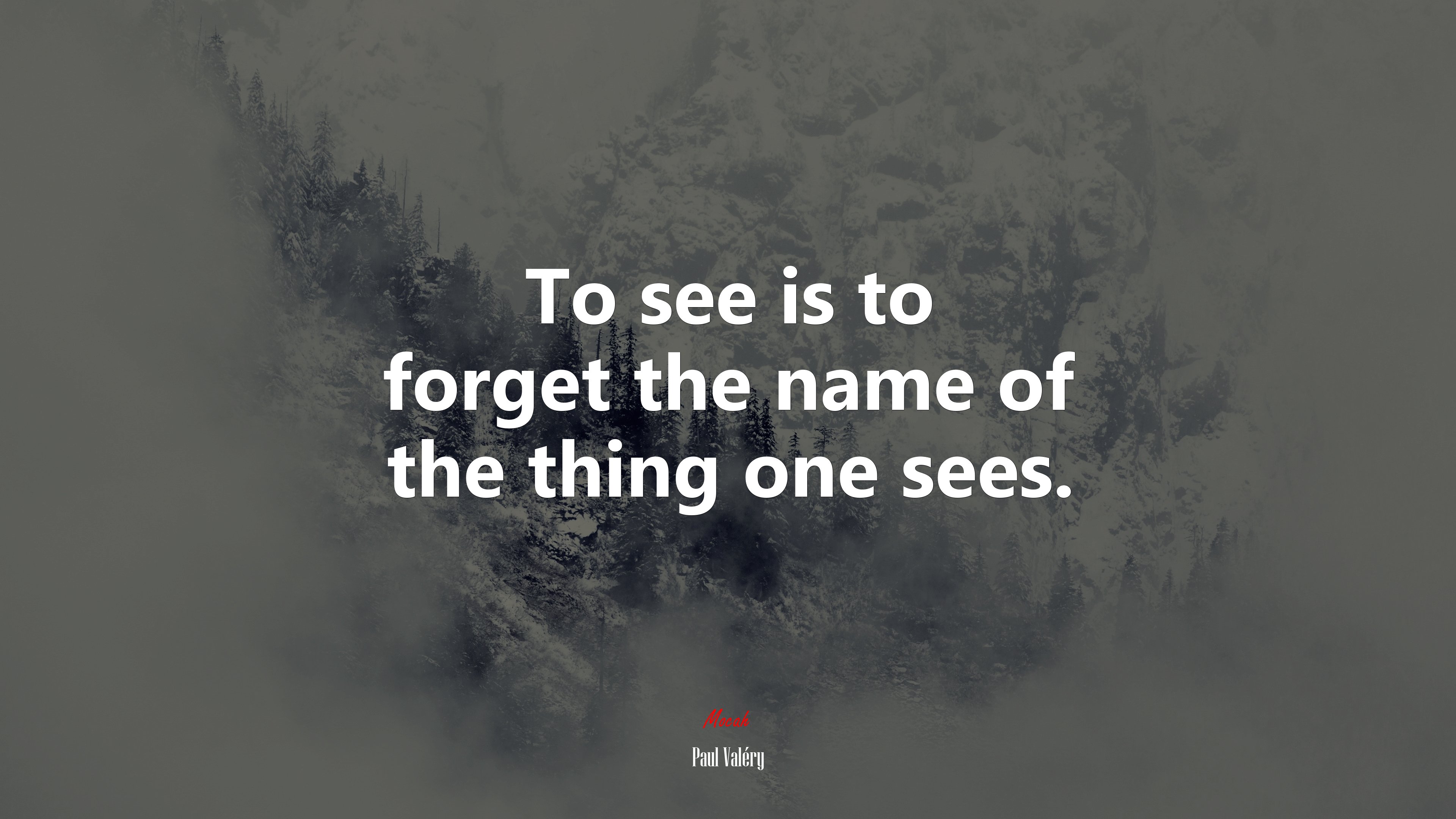To see is to forget the name of the thing one sees. | Paul Valéry quote HD Wallpaper