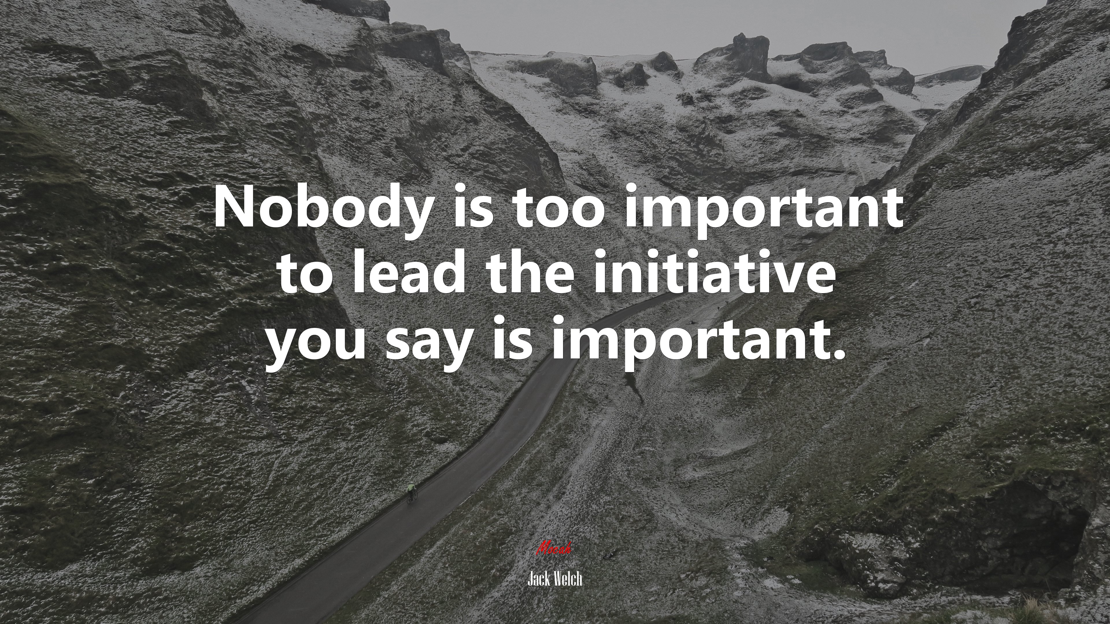 Nobody is too important to lead the initiative you say is important. | Jack Welch quote HD Wallpaper