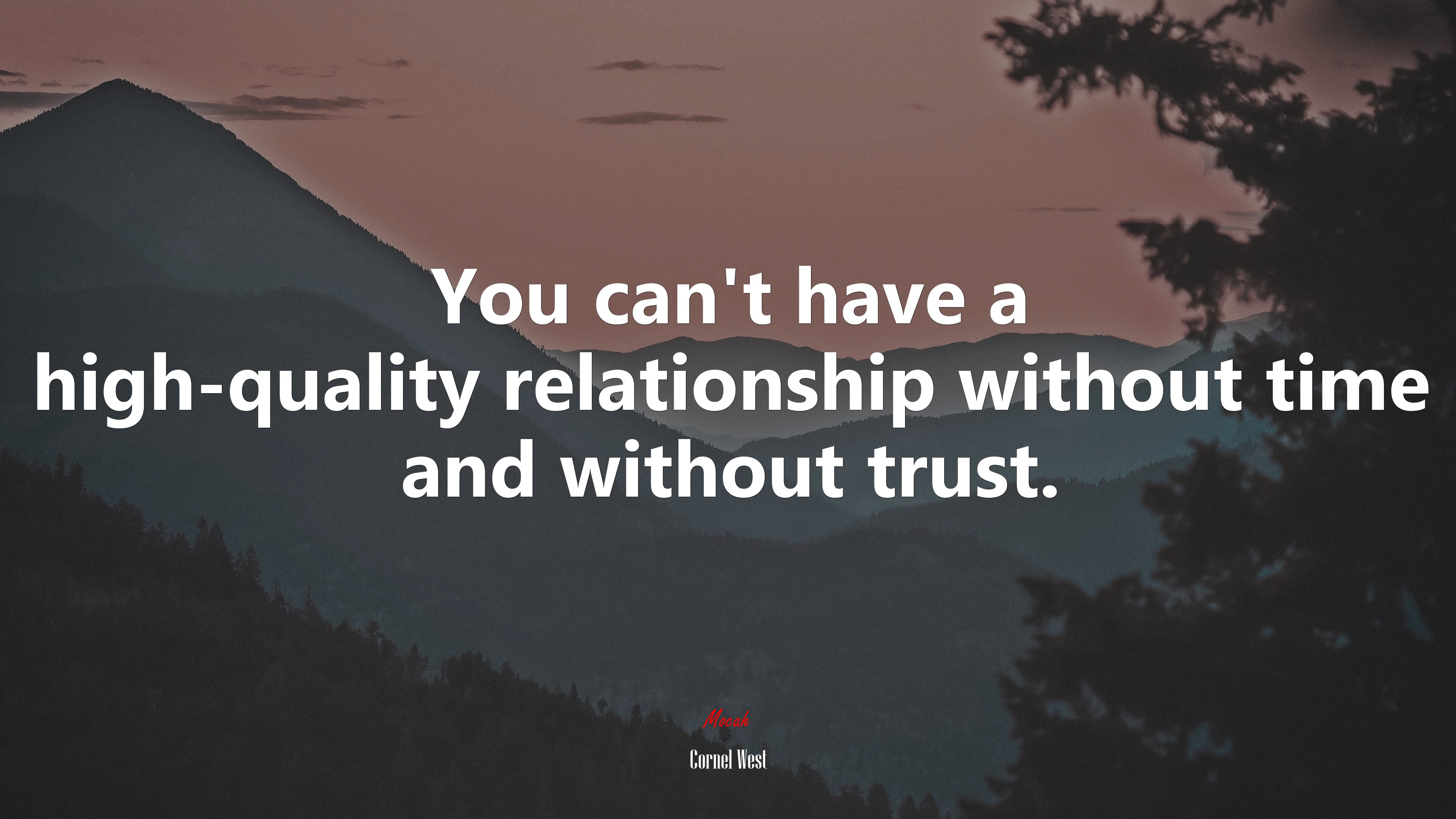 You can’t have a high-quality relationship without time and without trust. | Cornel West quote HD Wallpaper
