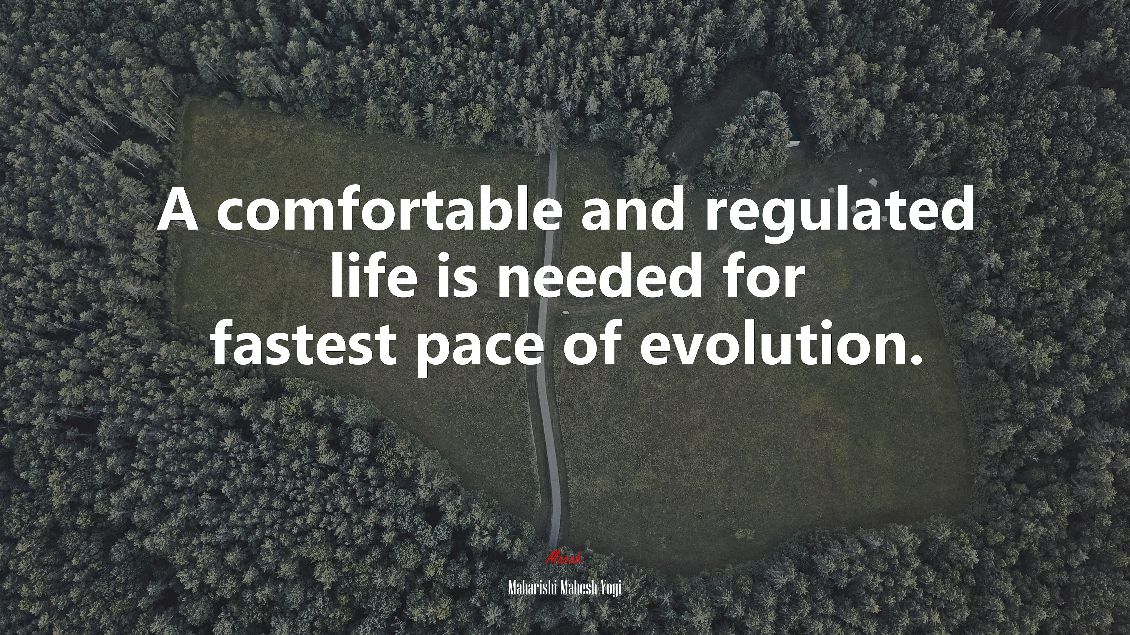 A comfortable and regulated life is needed for fastest pace of evolution. | Maharishi Mahesh Yogi quote HD Wallpaper