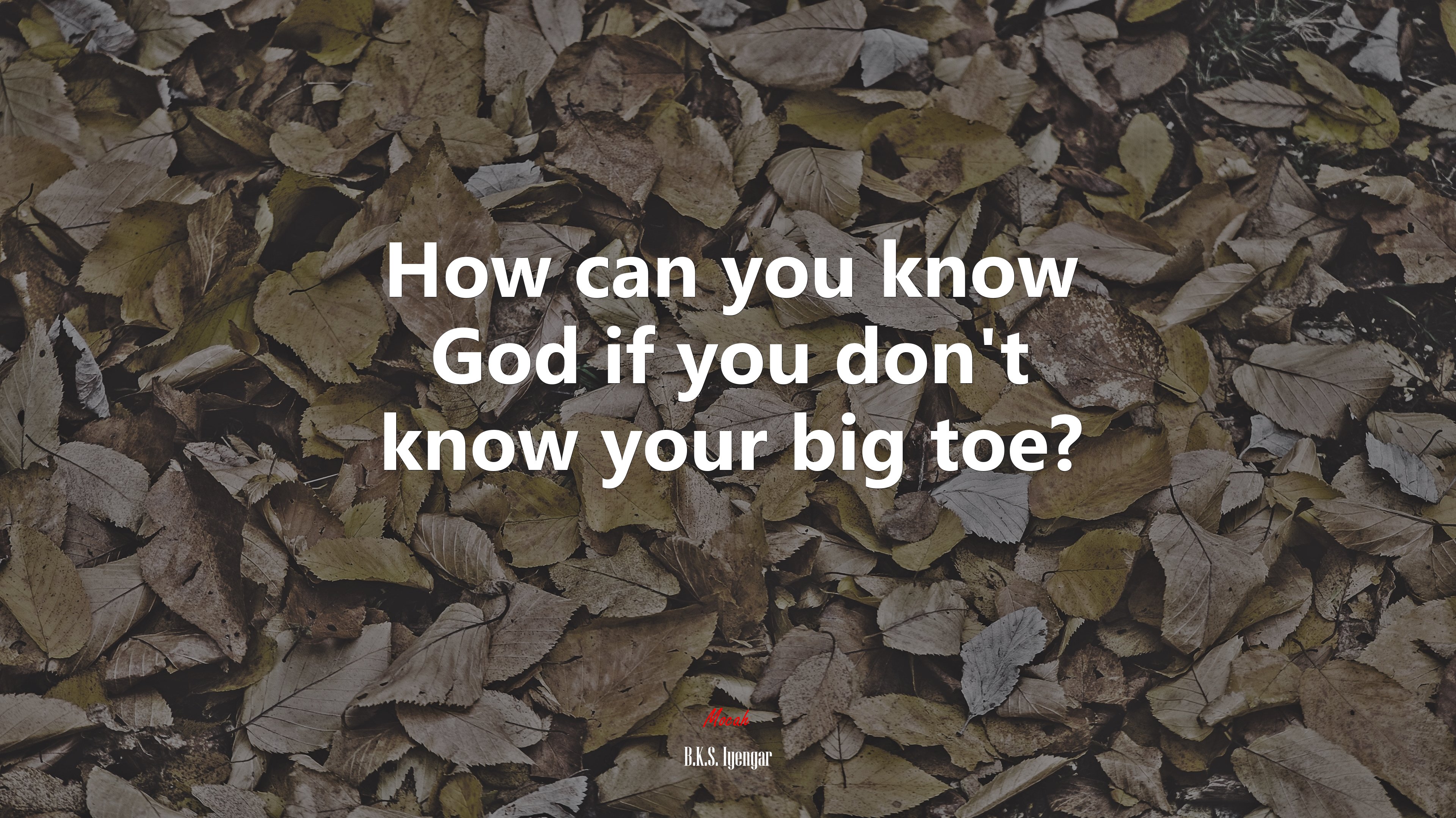 How can you know God if you don’t know your big toe? | B.K.S. Iyengar quote HD Wallpaper