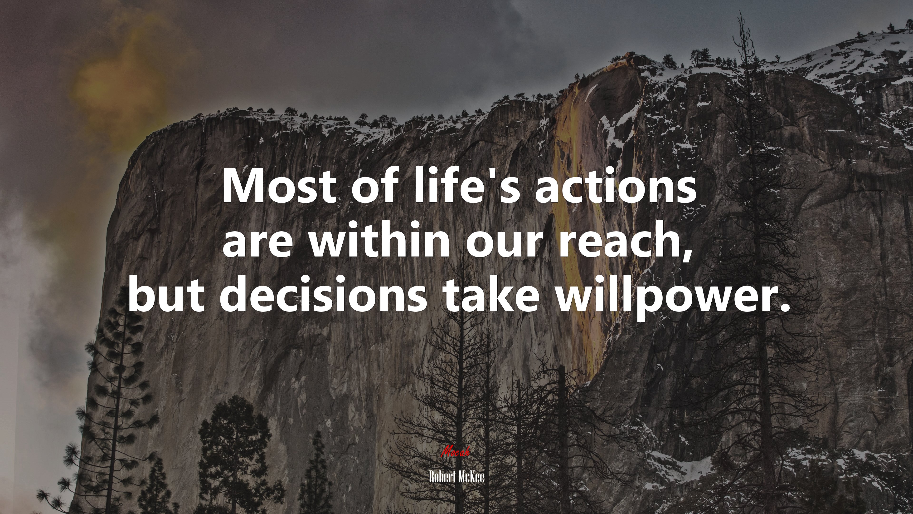 Most of life’s actions are within our reach, but decisions take willpower. | Robert McKee quote HD Wallpaper
