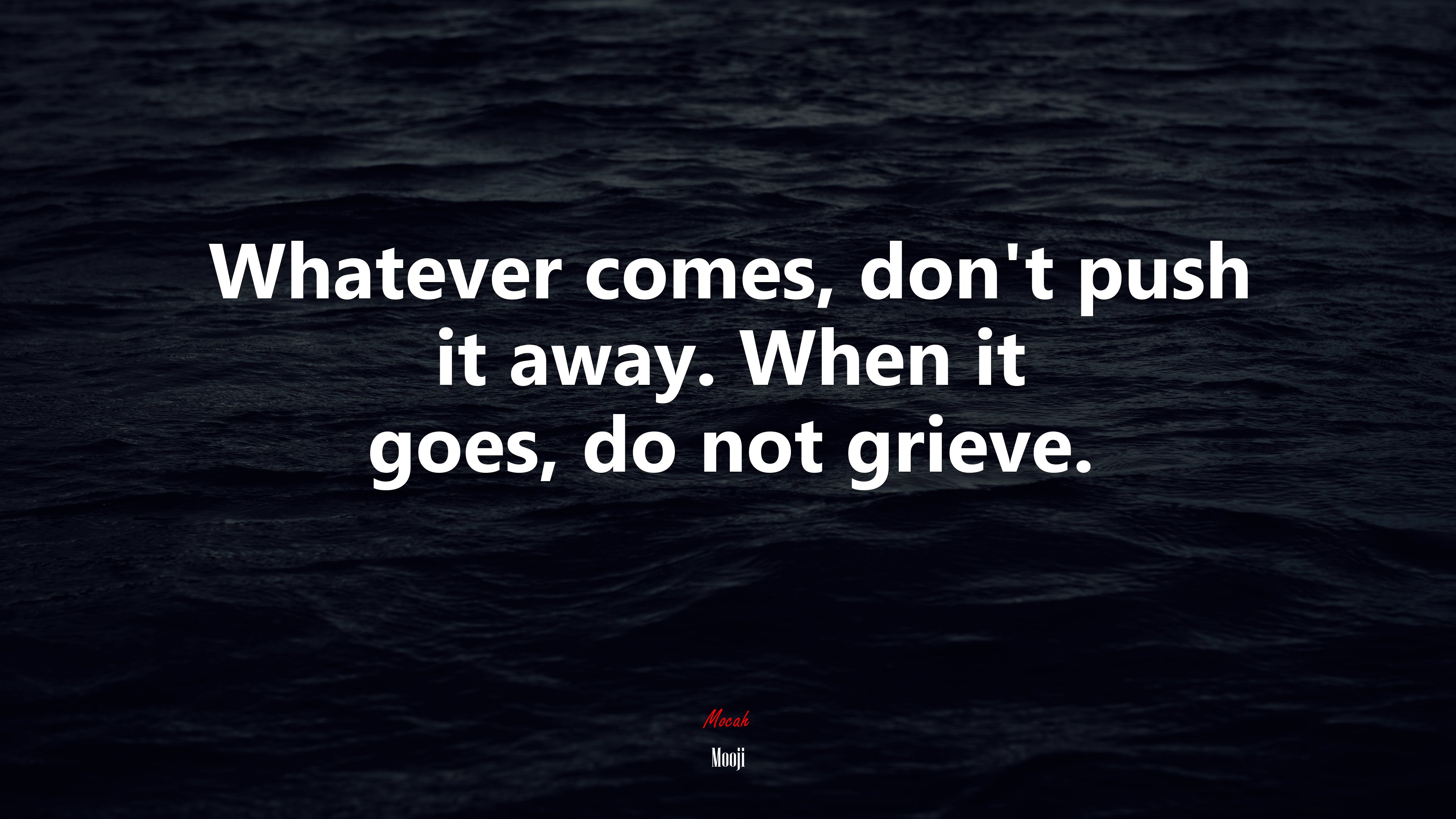 Whatever comes, don’t push it away. When it goes, do not grieve. | Mooji quote HD Wallpaper