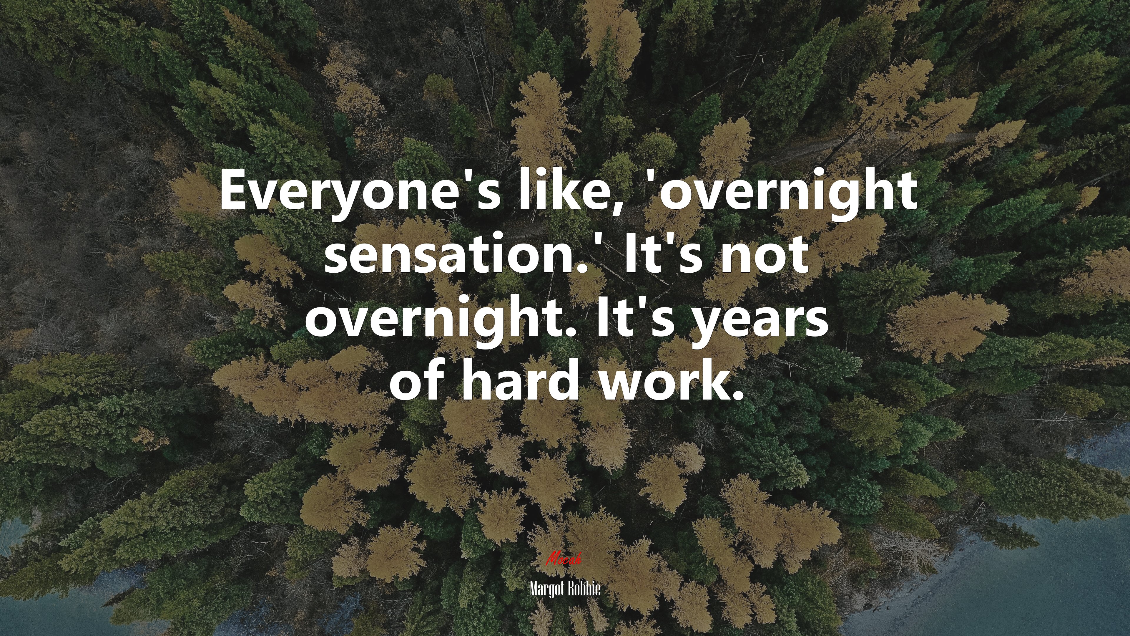 Everyone’s like, ‘overnight sensation.’ It’s not overnight. It’s years of hard work. | Margot Robbie quote HD Wallpaper
