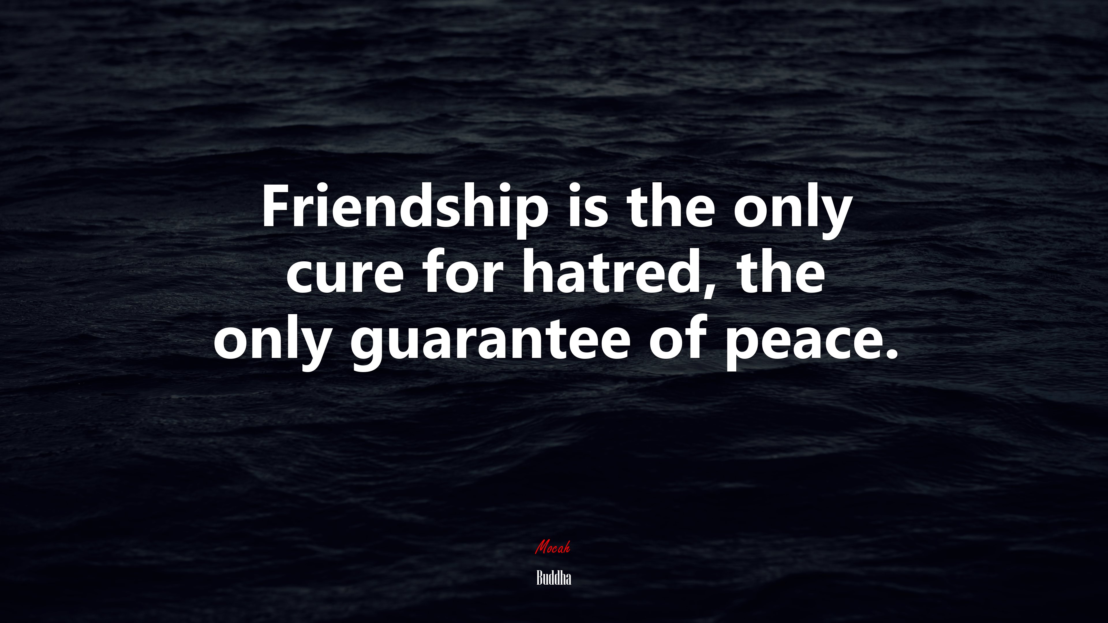 Friendship is the only cure for hatred, the only guarantee of peace. | Buddha quote HD Wallpaper