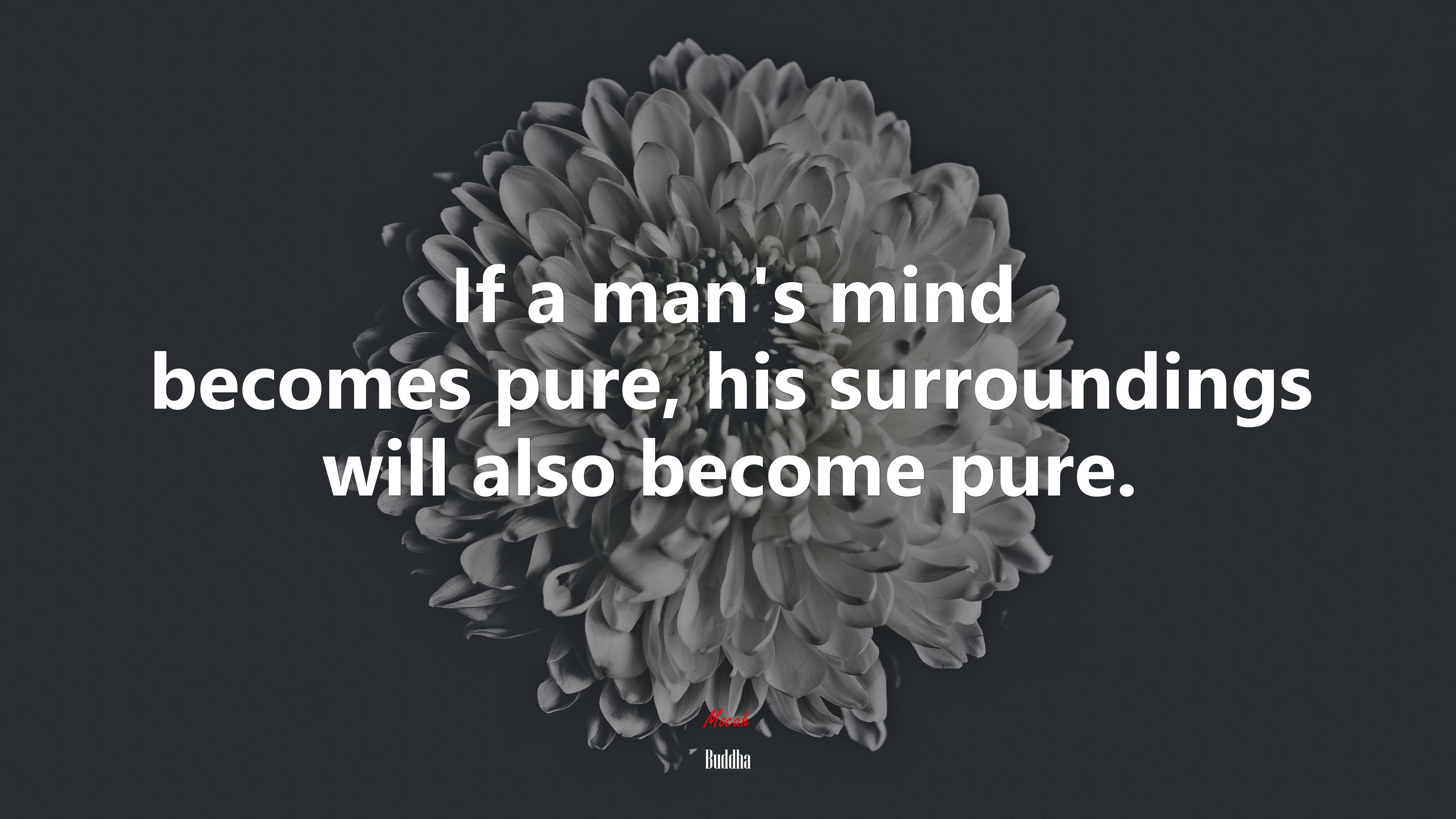 If a man’s mind becomes pure, his surroundings will also become pure. | Buddha quote HD Wallpaper