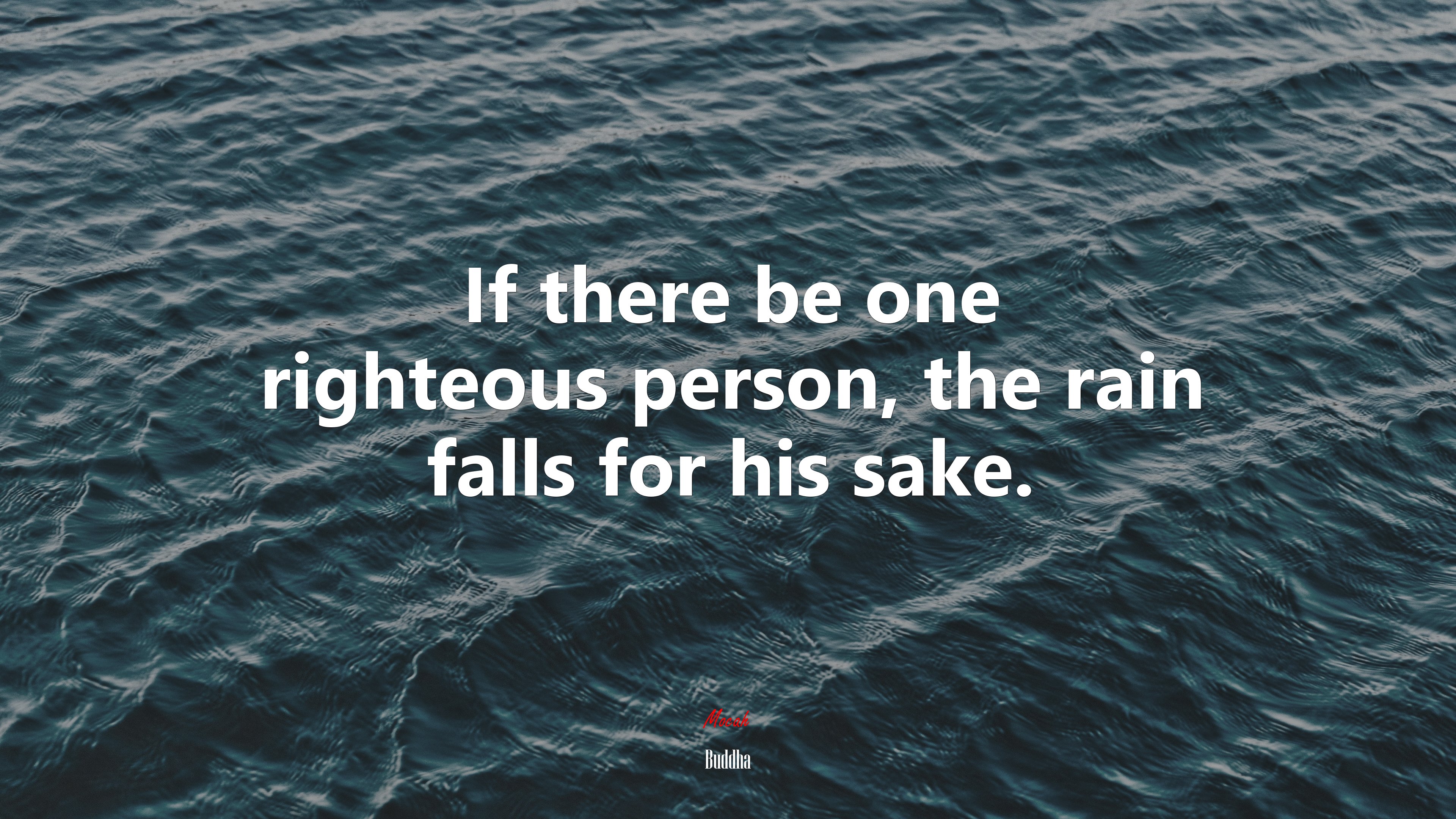 If there be one righteous person, the rain falls for his sake. | Buddha quote HD Wallpaper
