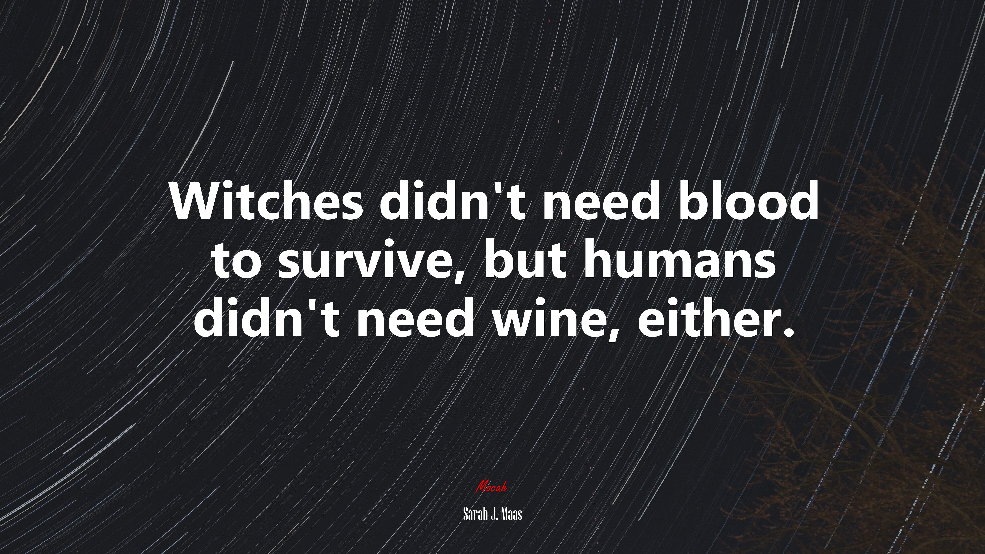 Witches didn’t need blood to survive, but humans didn’t need wine, either. | Sarah J. Maas quote HD Wallpaper