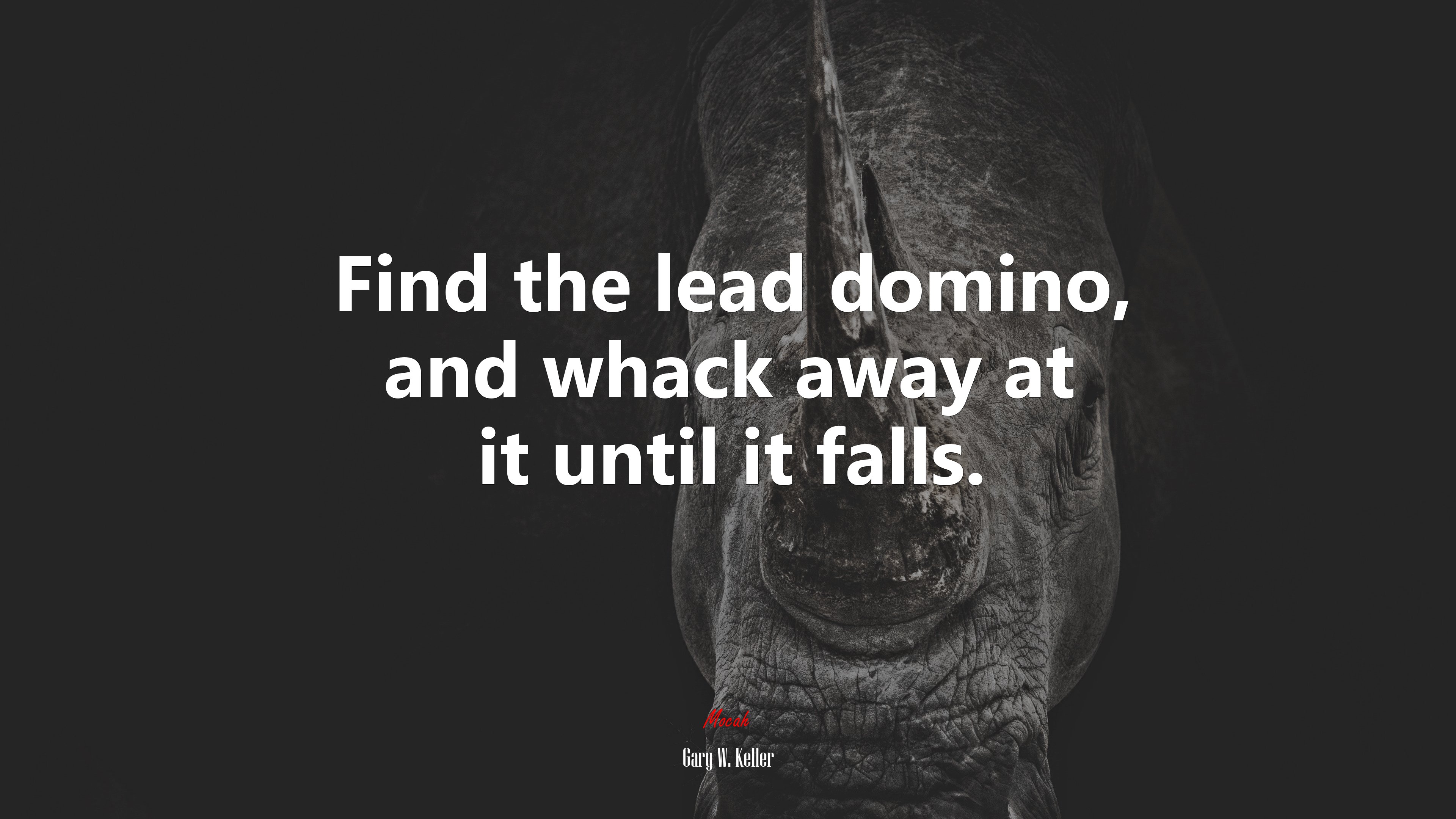 Find the lead domino, and whack away at it until it falls. | Gary W. Keller quote HD Wallpaper