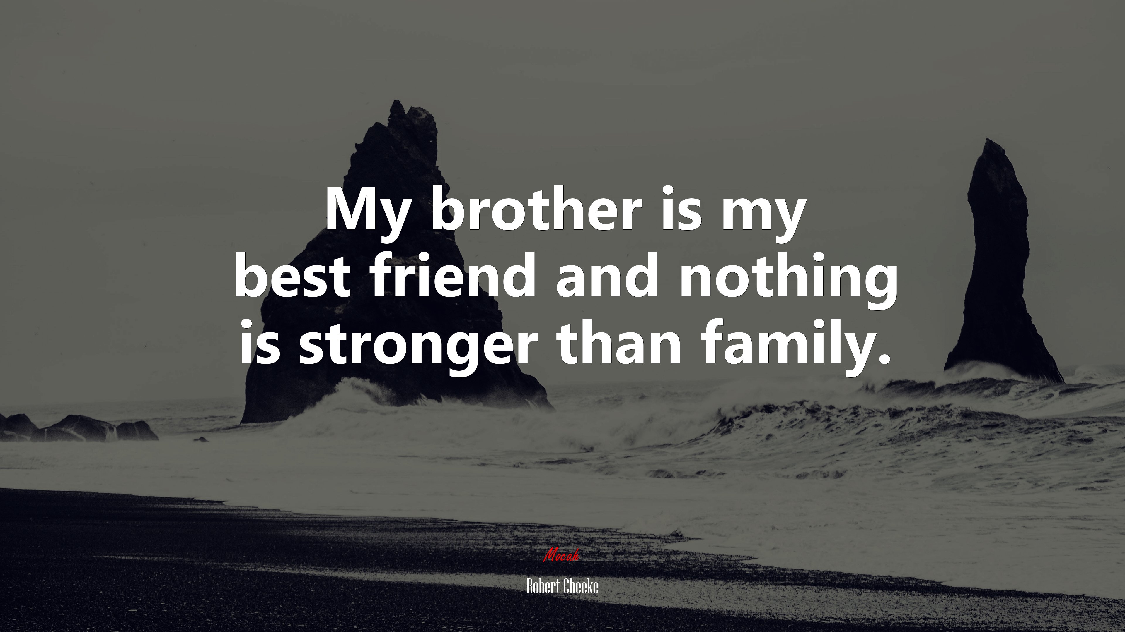 My brother is my best friend and nothing is stronger than family. | Robert Cheeke quote HD Wallpaper