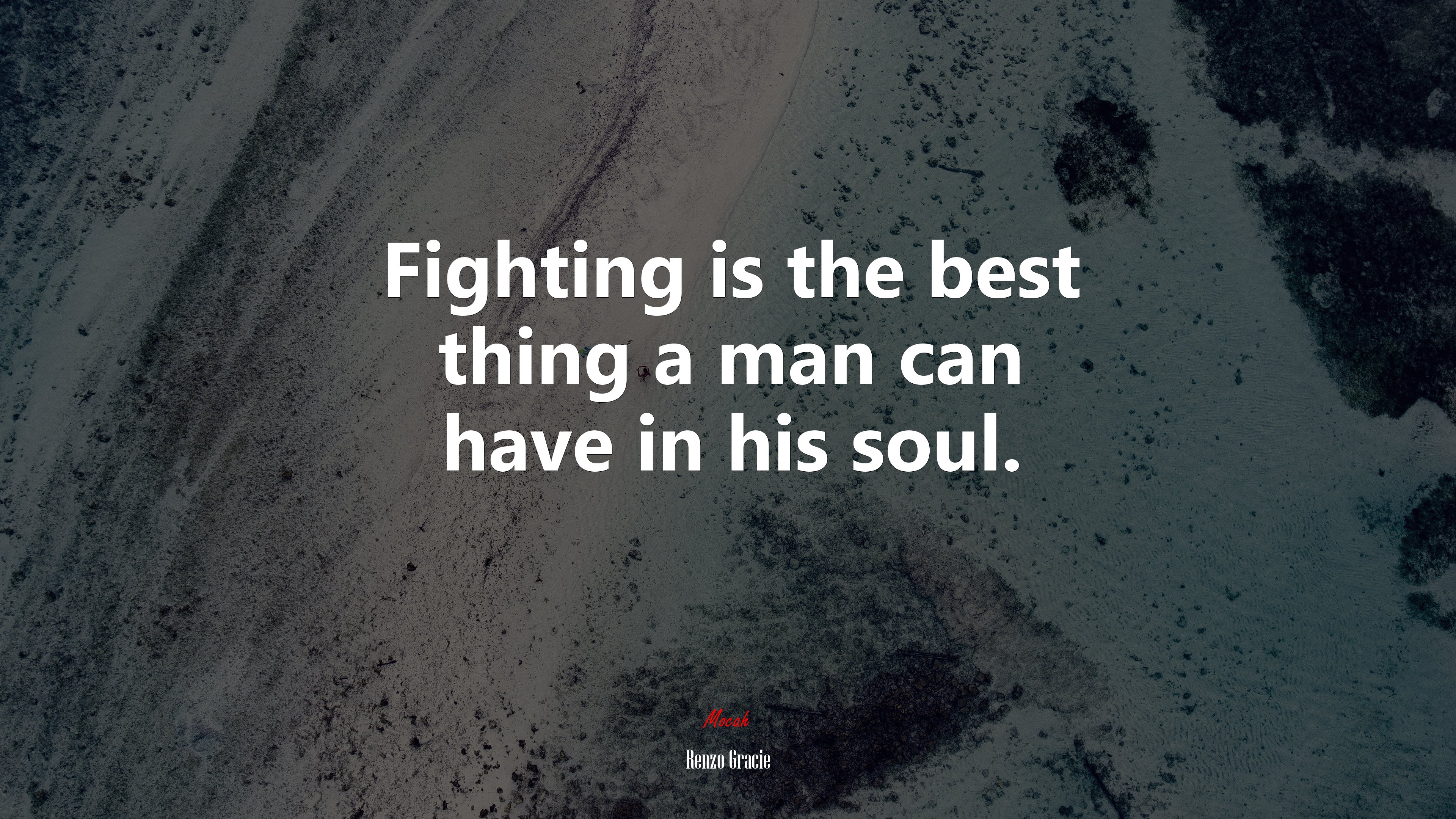 Fighting is the best thing a man can have in his soul. | Renzo Gracie quote HD Wallpaper