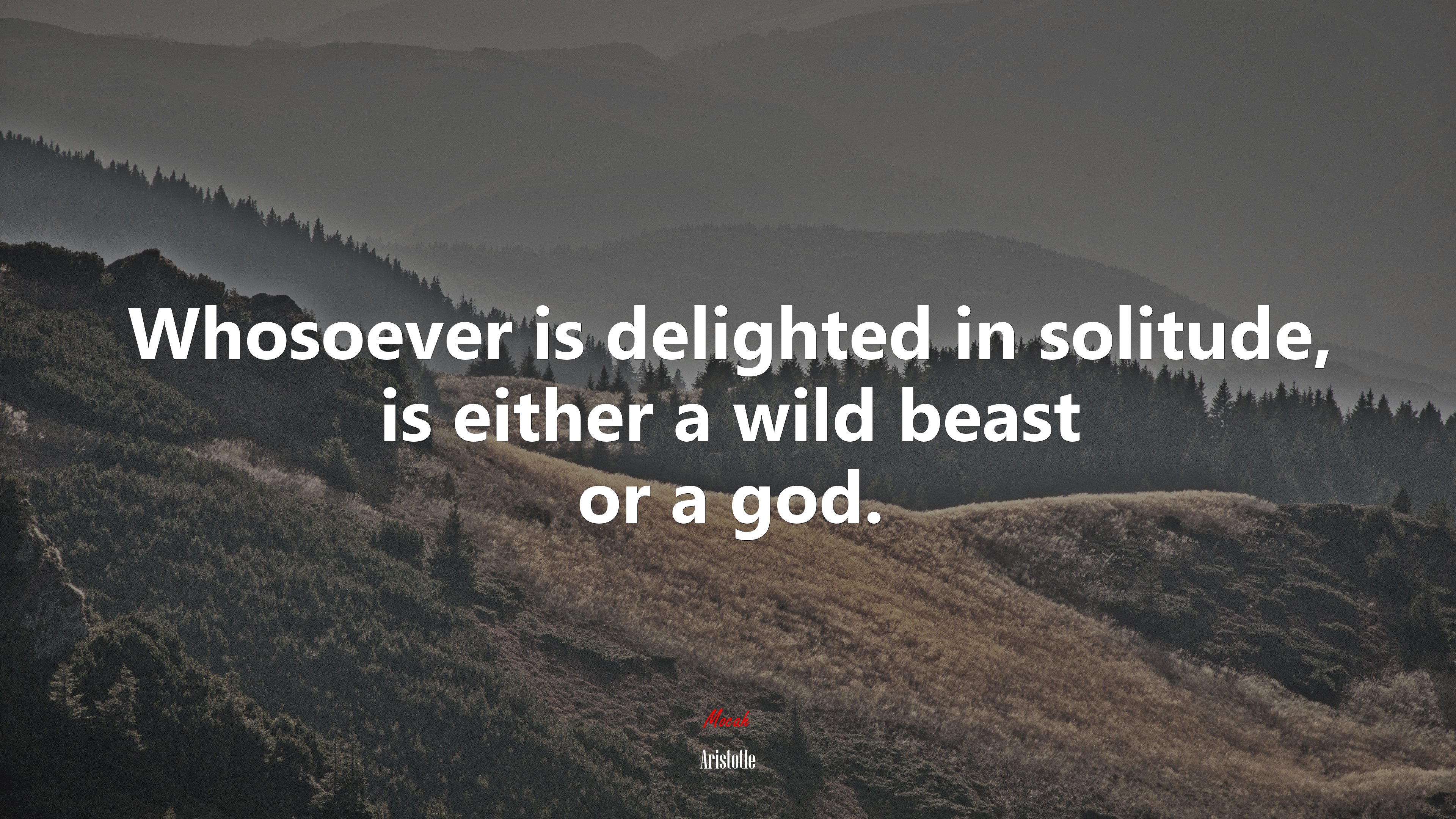 Whosoever is delighted in solitude, is either a wild beast or a god. | Aristotle quote HD Wallpaper