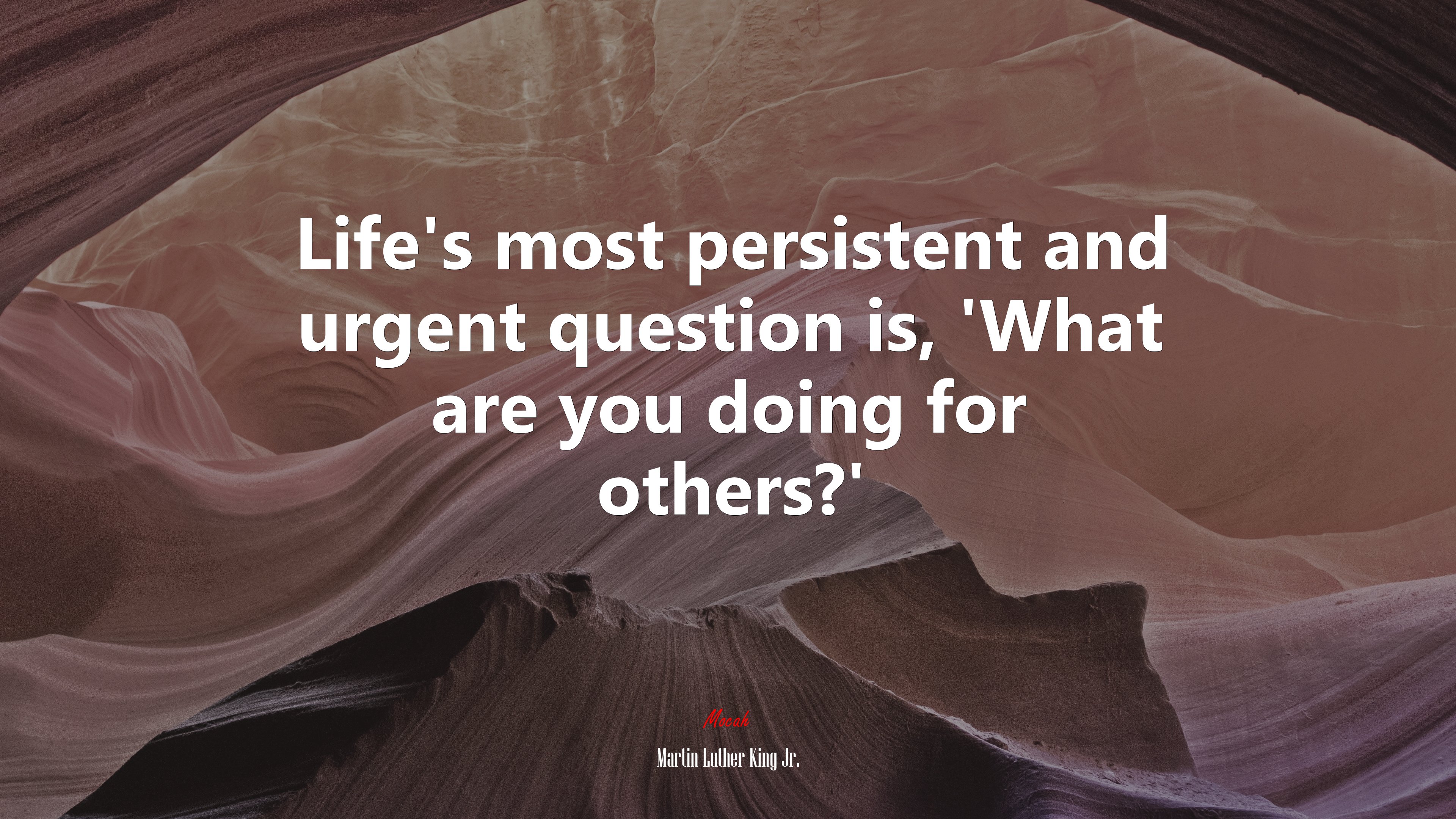Life’s most persistent and urgent question is, ‘What are you doing for others?’ | Martin Luther King Jr. quote HD Wallpaper