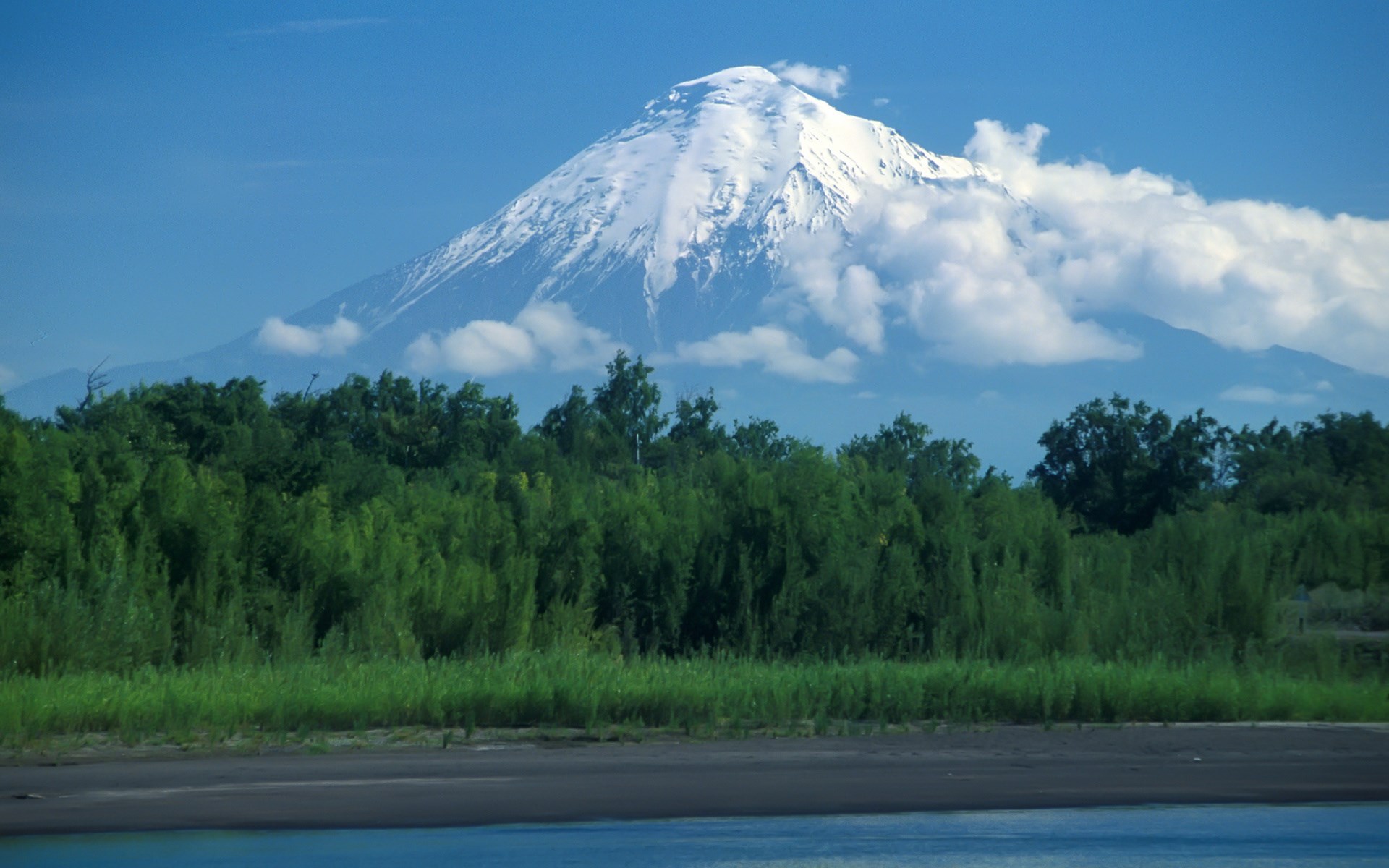Snow-capped volcano over green forest and river HD Wallpaper