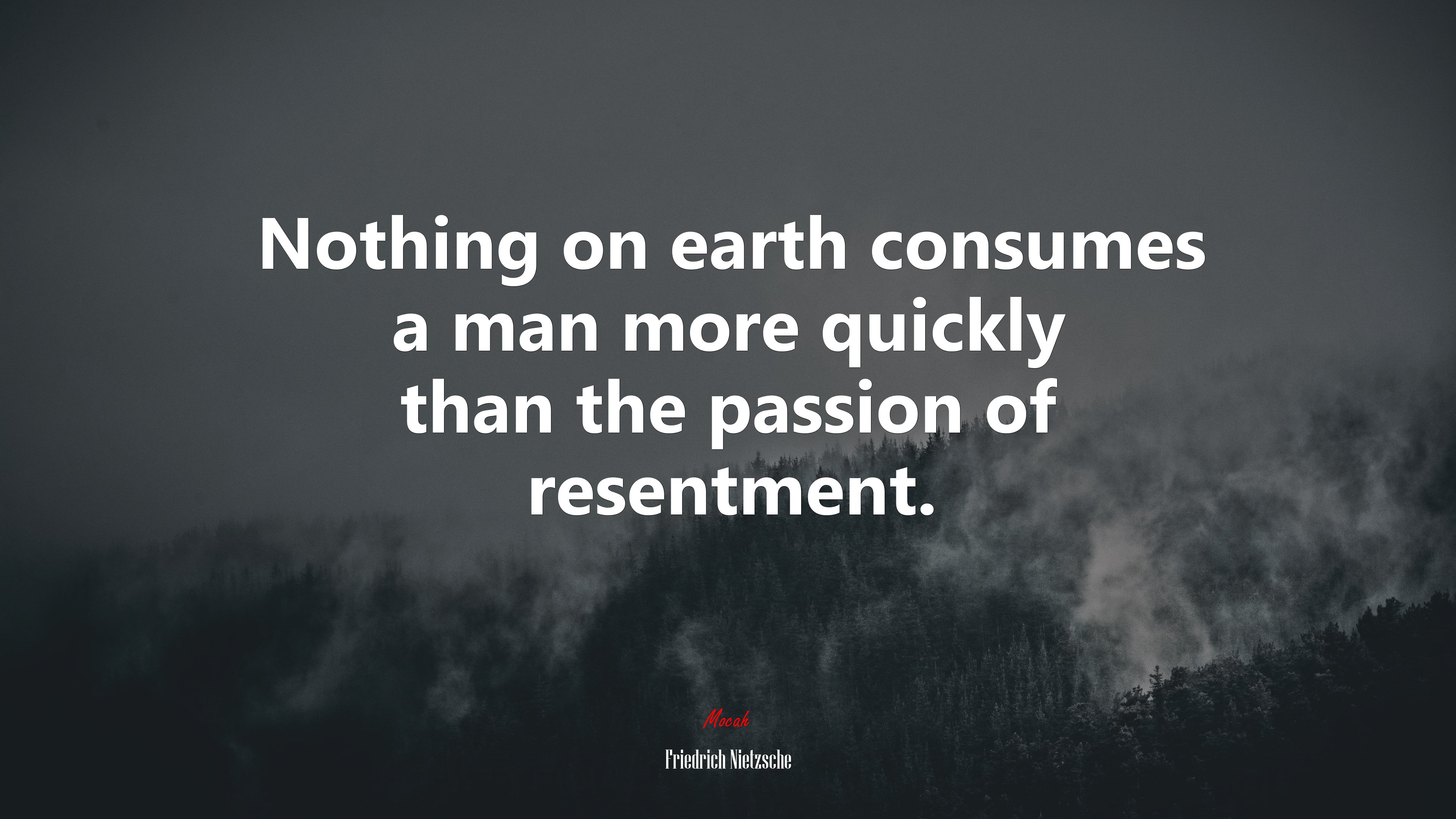 Nothing on earth consumes a man more quickly than the passion of resentment. | Friedrich Nietzsche quote HD Wallpaper