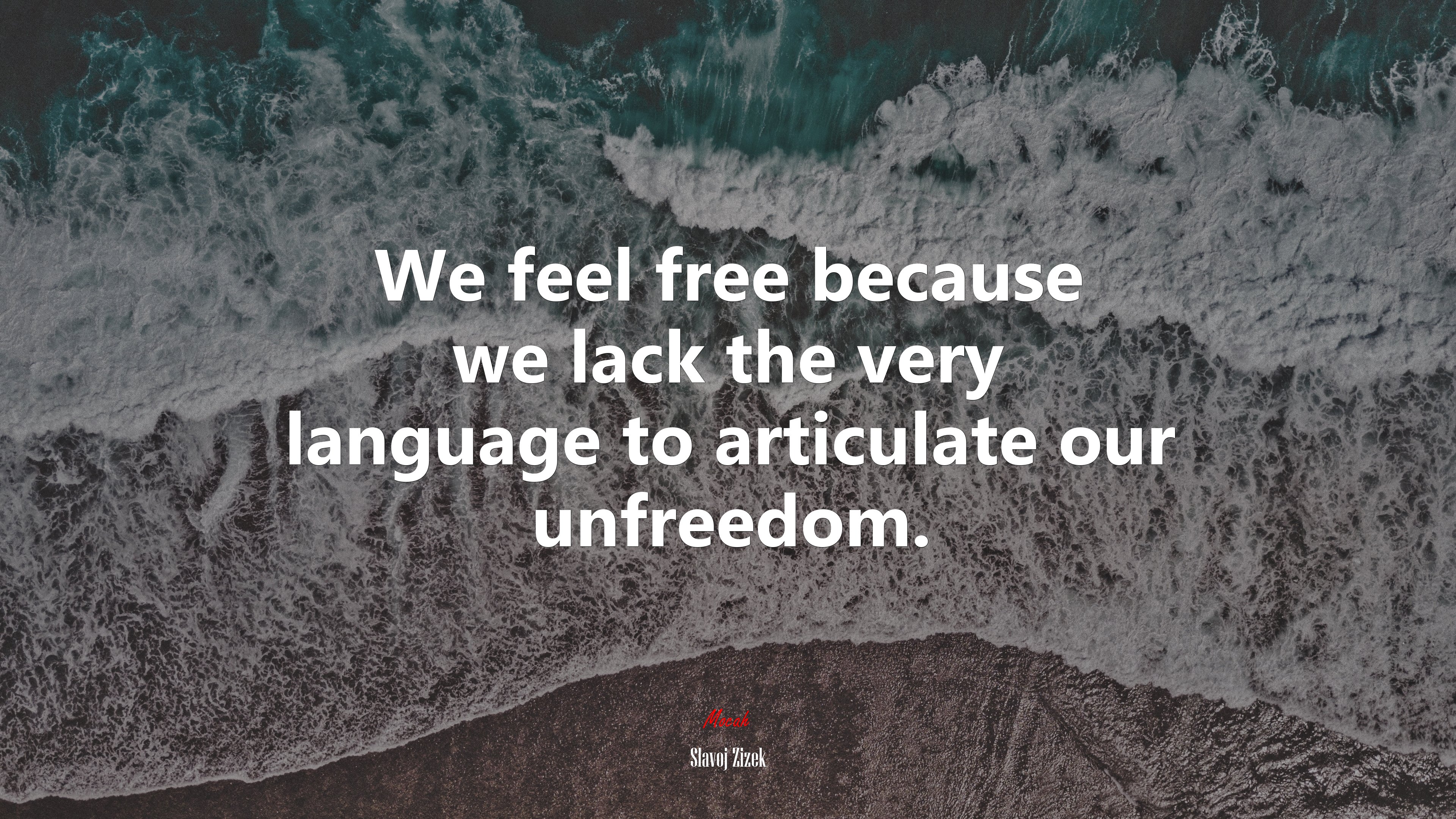 We feel free because we lack the very language to articulate our unfreedom. | Slavoj Žižek quote HD Wallpaper