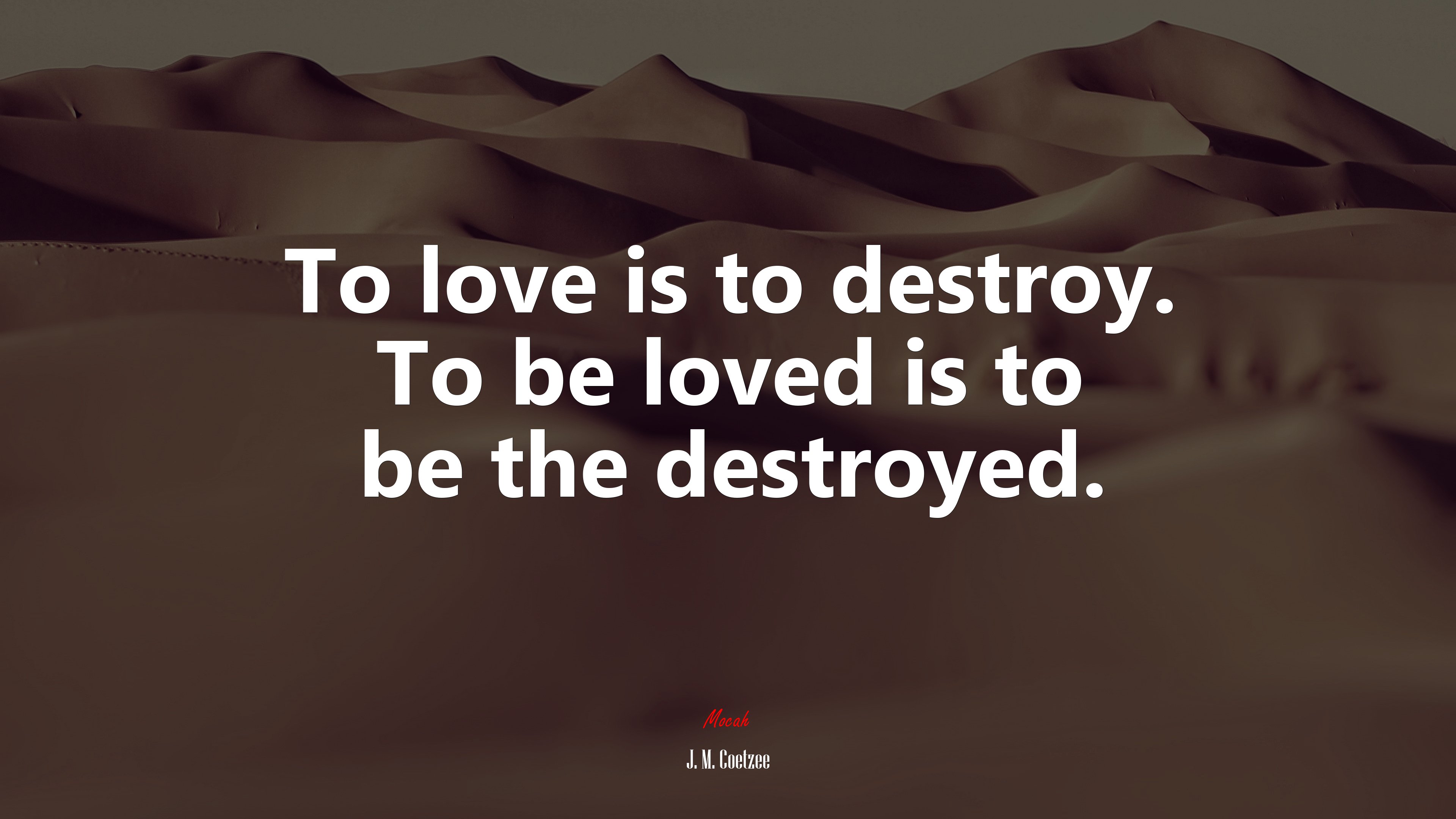 To love is to destroy. To be loved is to be the destroyed. | J. M. Coetzee quote HD Wallpaper