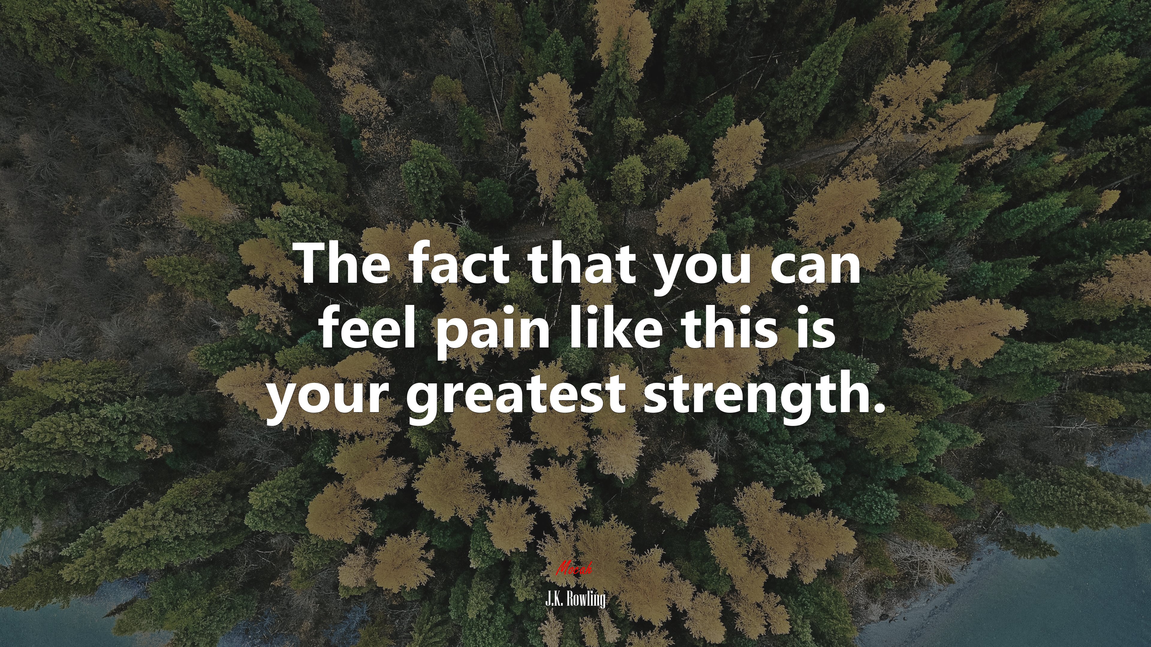 The fact that you can feel pain like this is your greatest strength. | J.K. Rowling quote HD Wallpaper