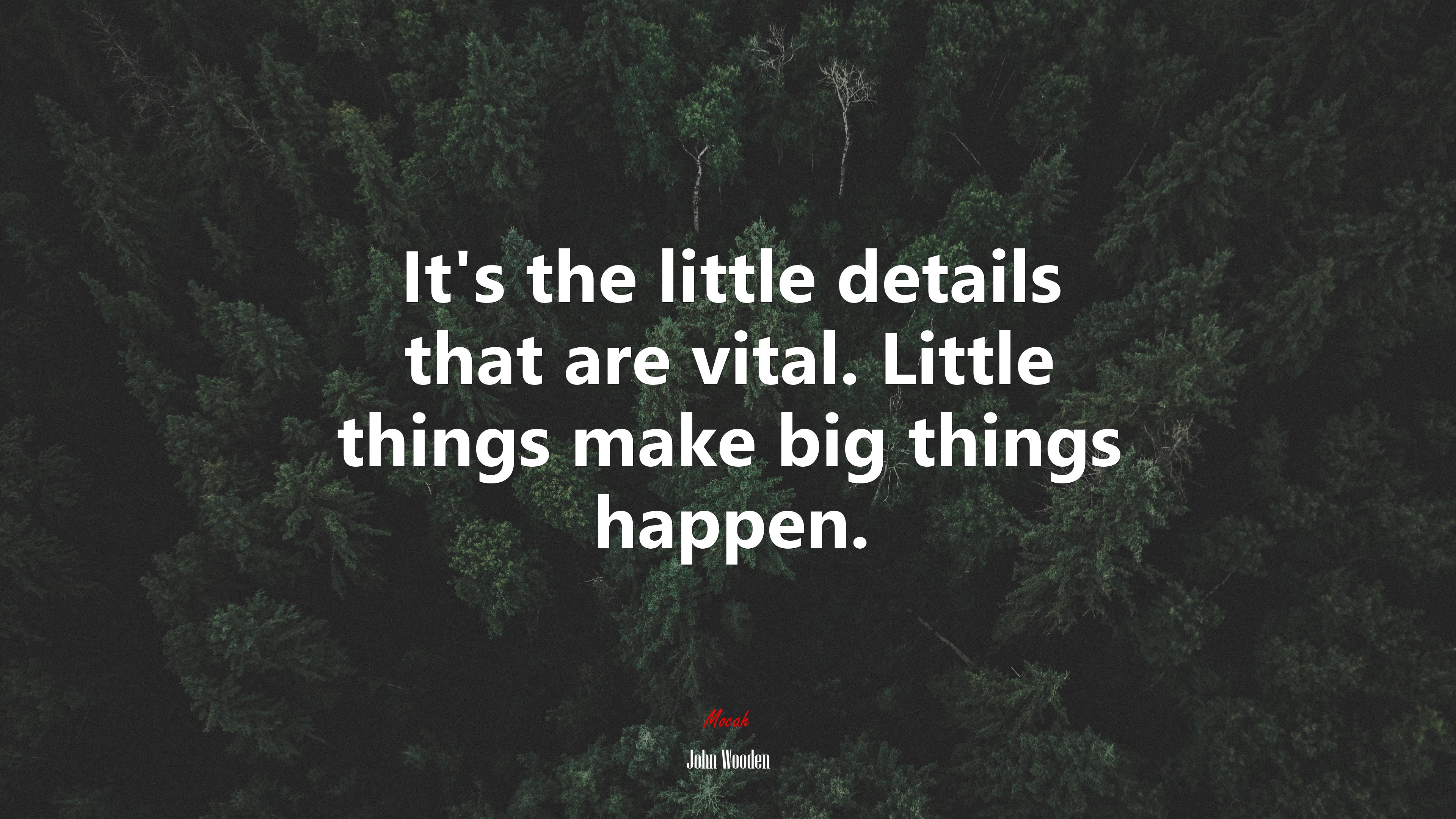Its the little details that are vital. Little things make big things happen. | John Wooden quote HD Wallpaper