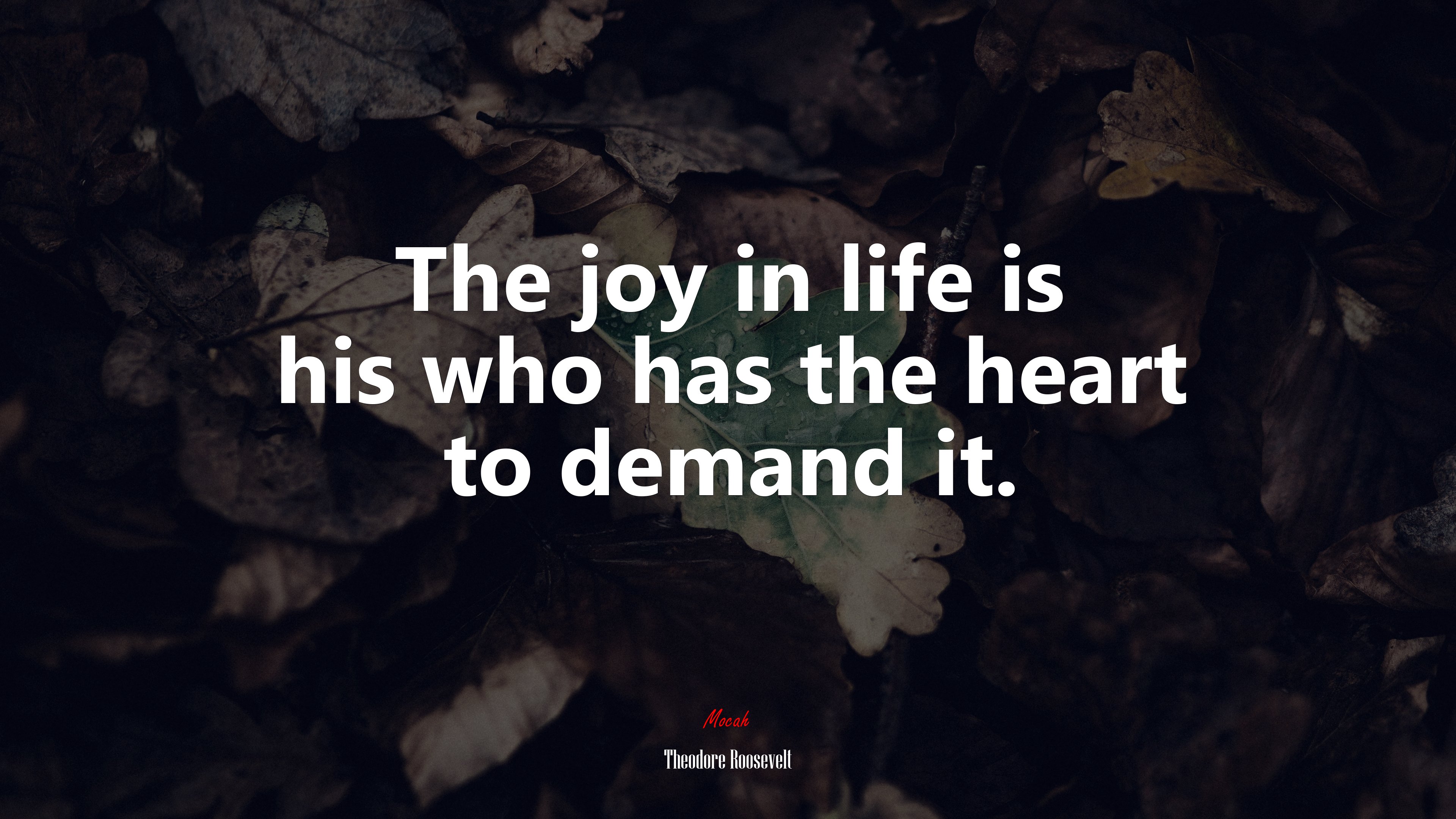 The joy in life is his who has the heart to demand it. | Theodore Roosevelt quote HD Wallpaper
