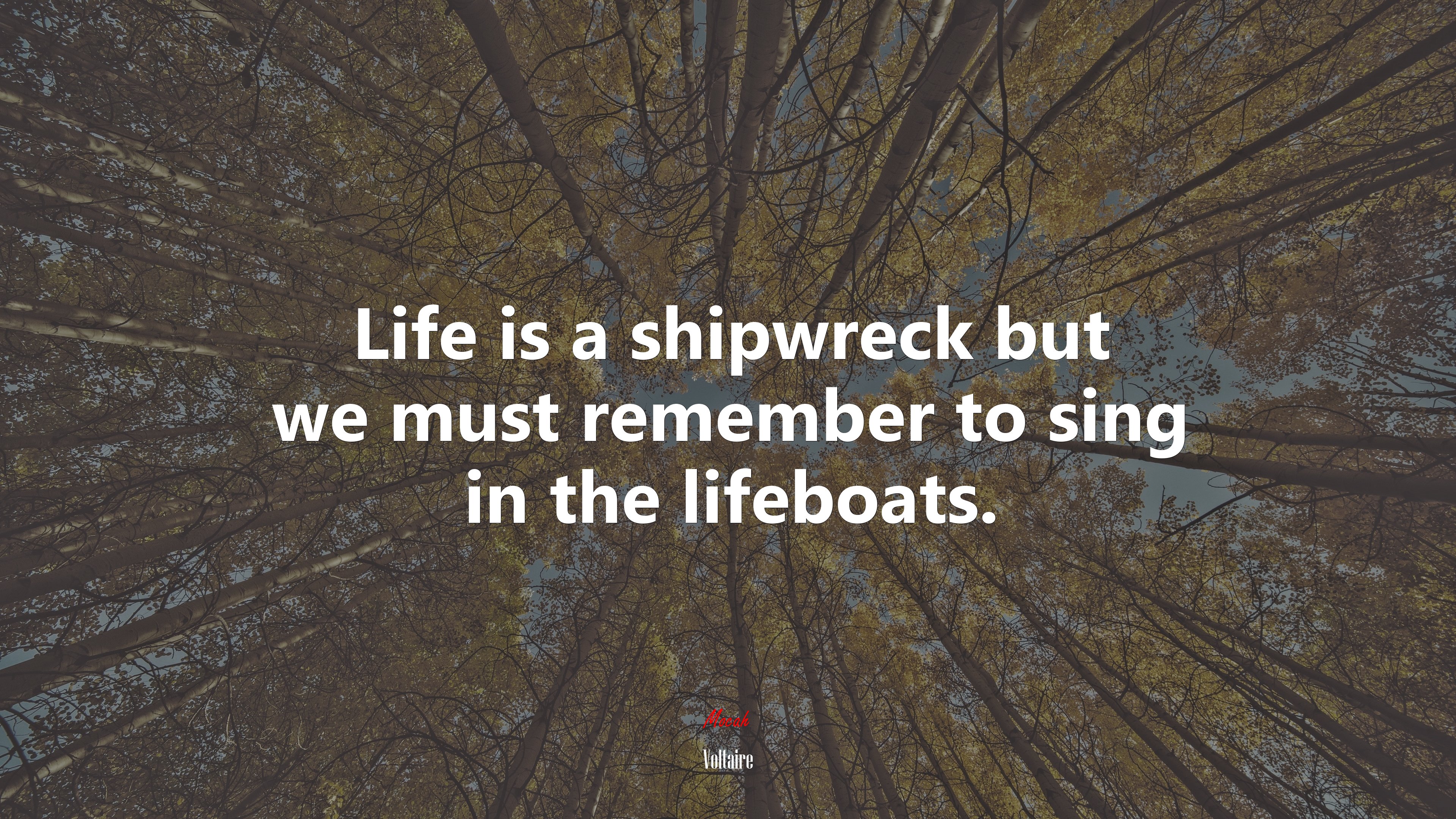 Life is a shipwreck but we must remember to sing in the lifeboats. | Voltaire quote HD Wallpaper