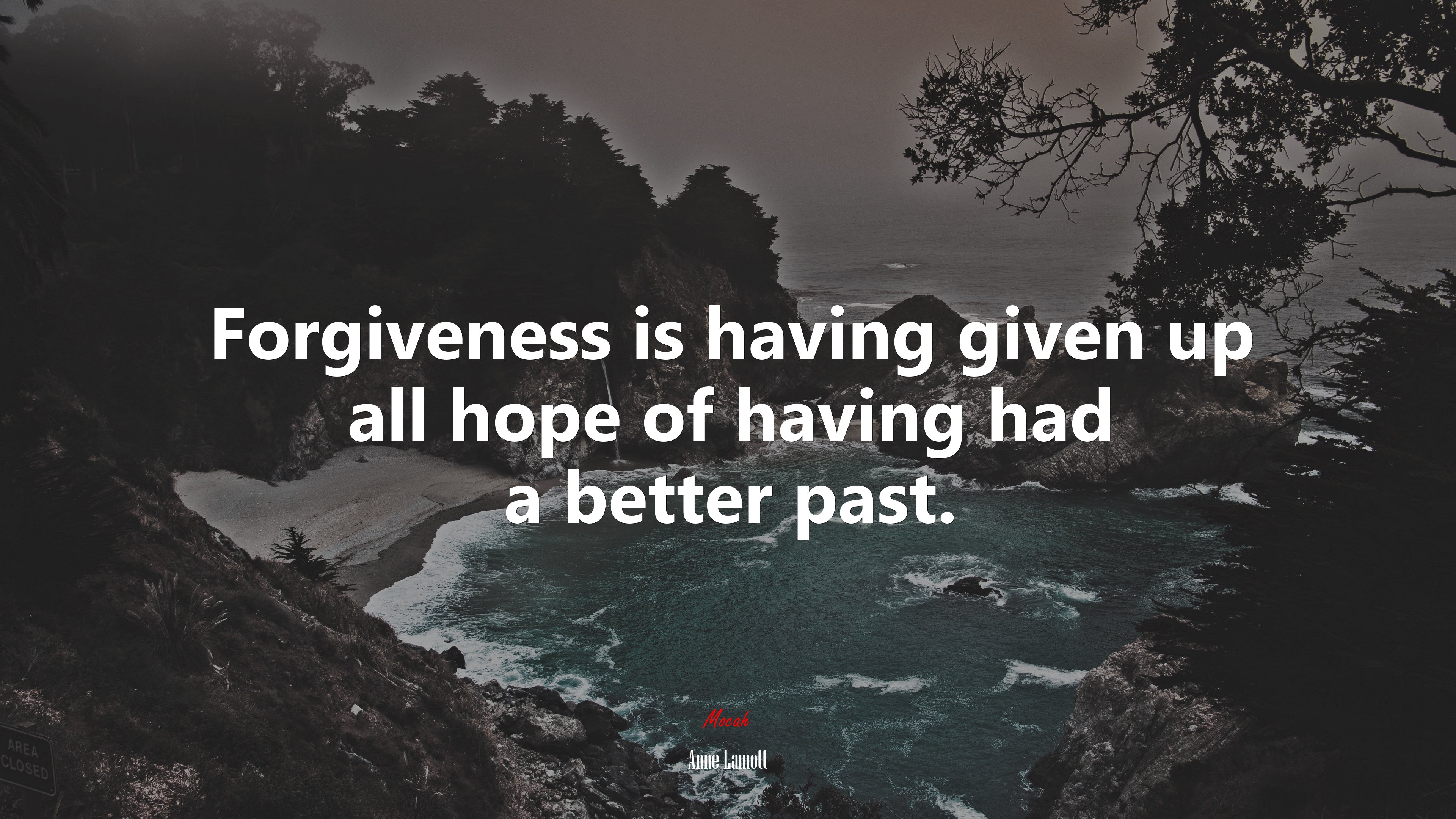 Forgiveness is having given up all hope of having had a better past. | Anne Lamott quote HD Wallpaper