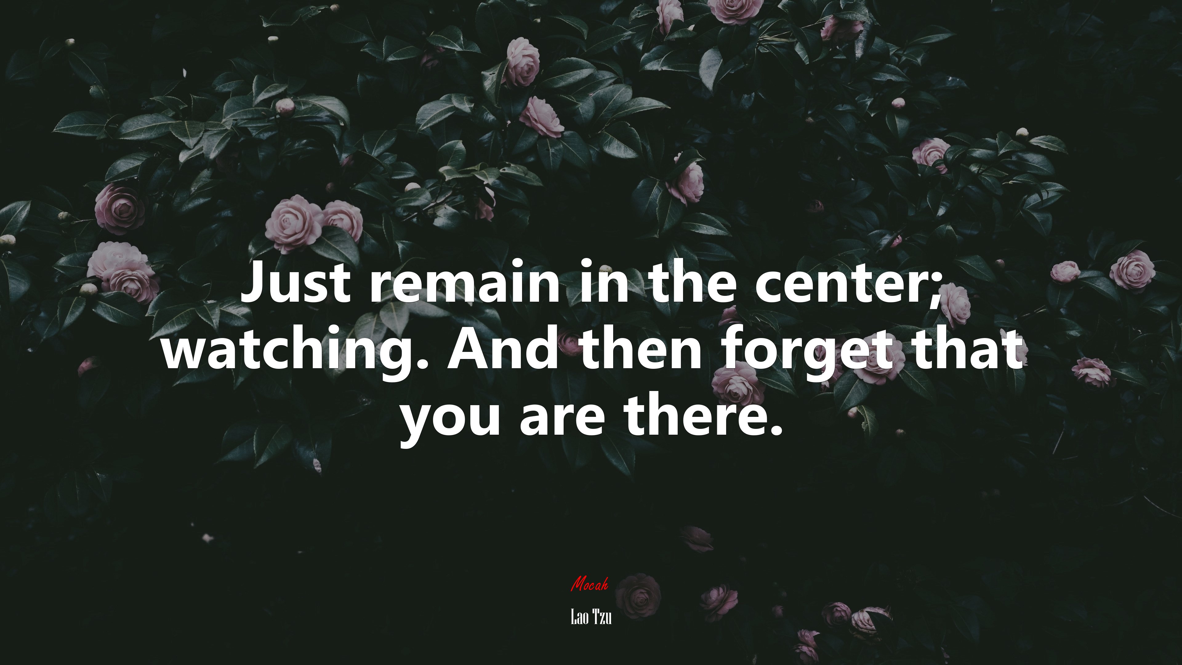 Just remain in the center; watching. And then forget that you are there. | Lao Tzu quote HD Wallpaper