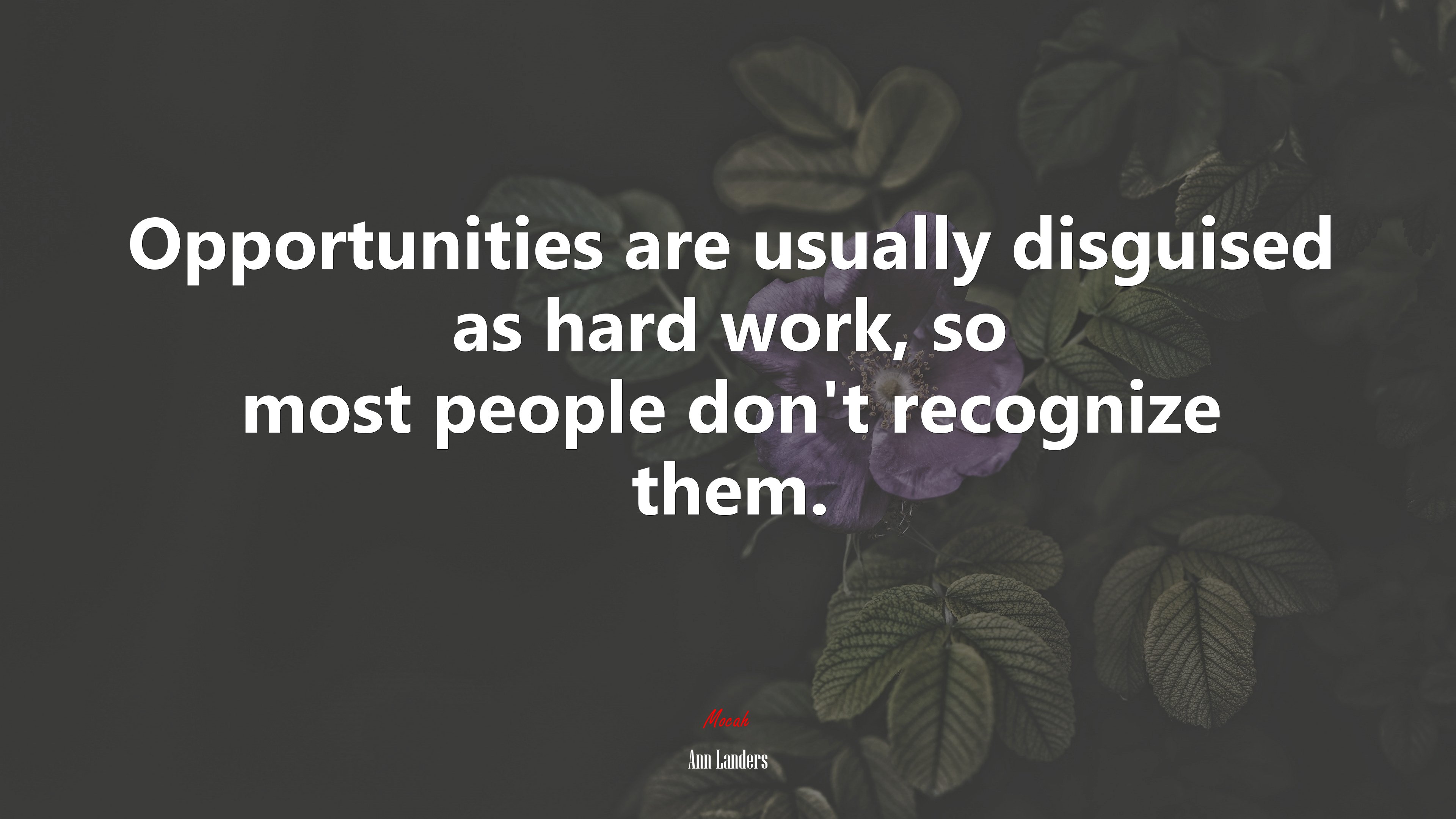 Opportunities are usually disguised as hard work, so most people don’t recognize them. | Ann Landers quote HD Wallpaper