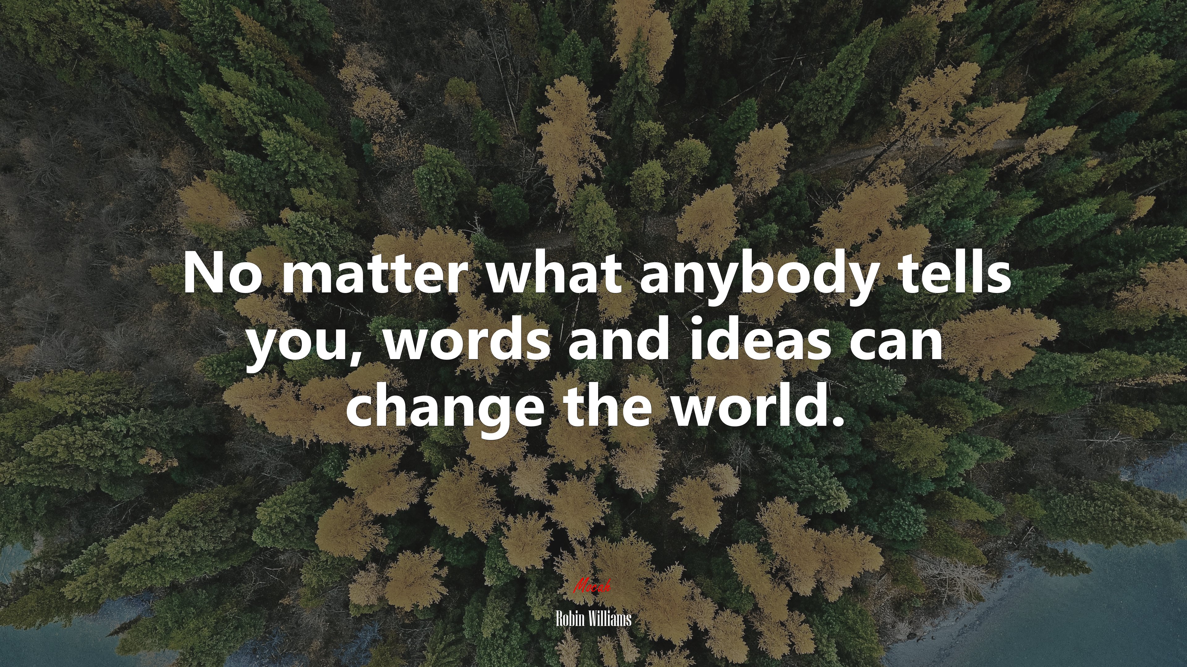 No matter what anybody tells you, words and ideas can change the world. | Robin Williams quote HD Wallpaper