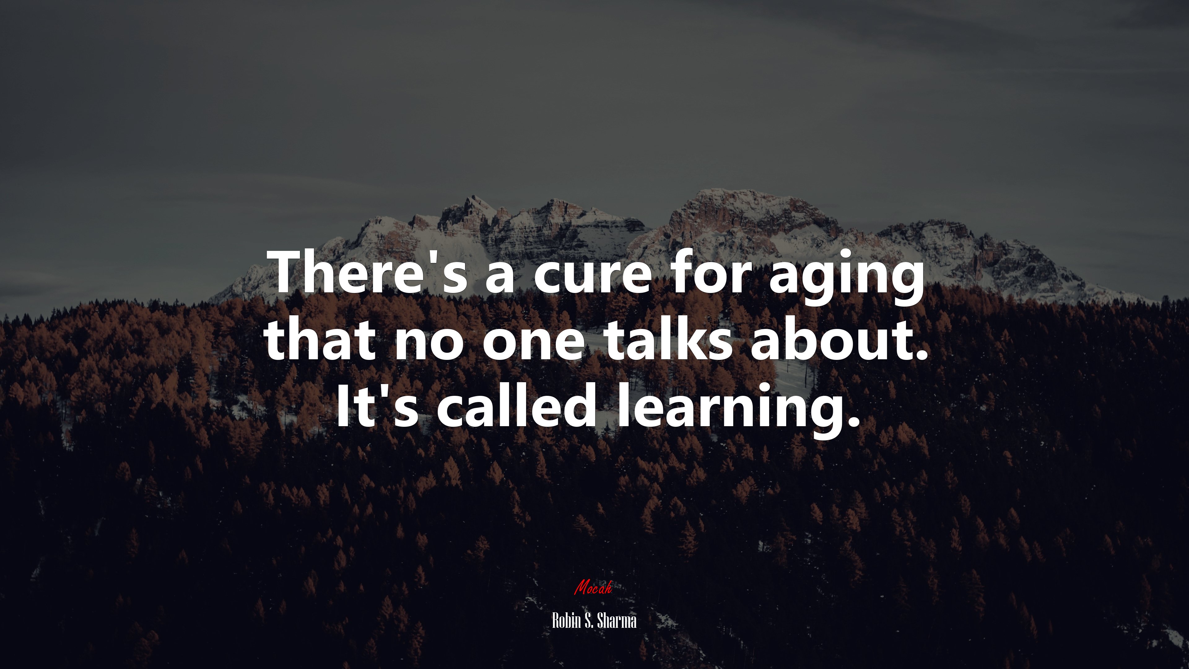 Theres a cure for aging that no one talks about. Its called learning. | Robin S. Sharma quote HD Wallpaper