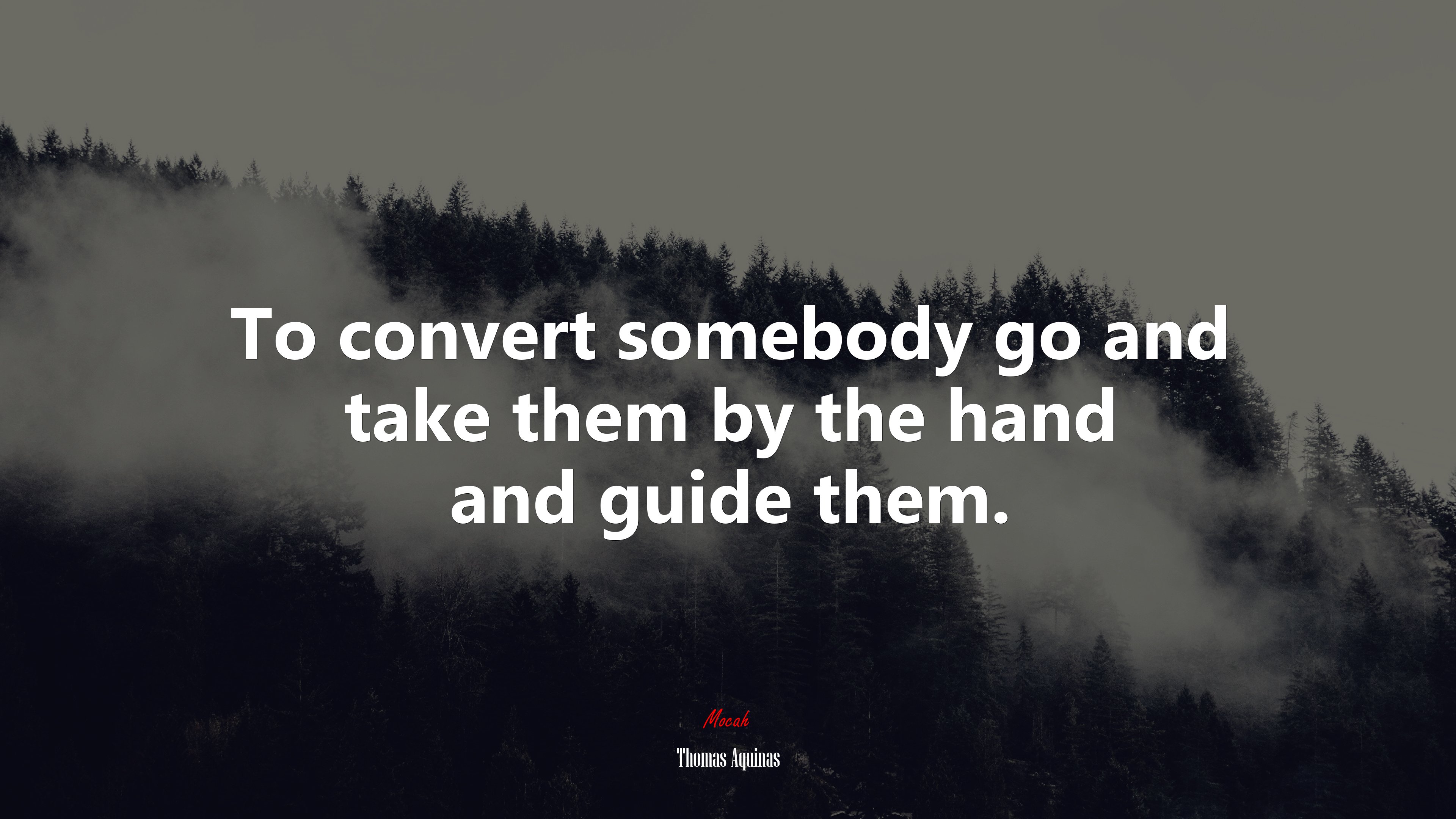 To convert somebody go and take them by the hand and guide them. | Thomas Aquinas quote HD Wallpaper
