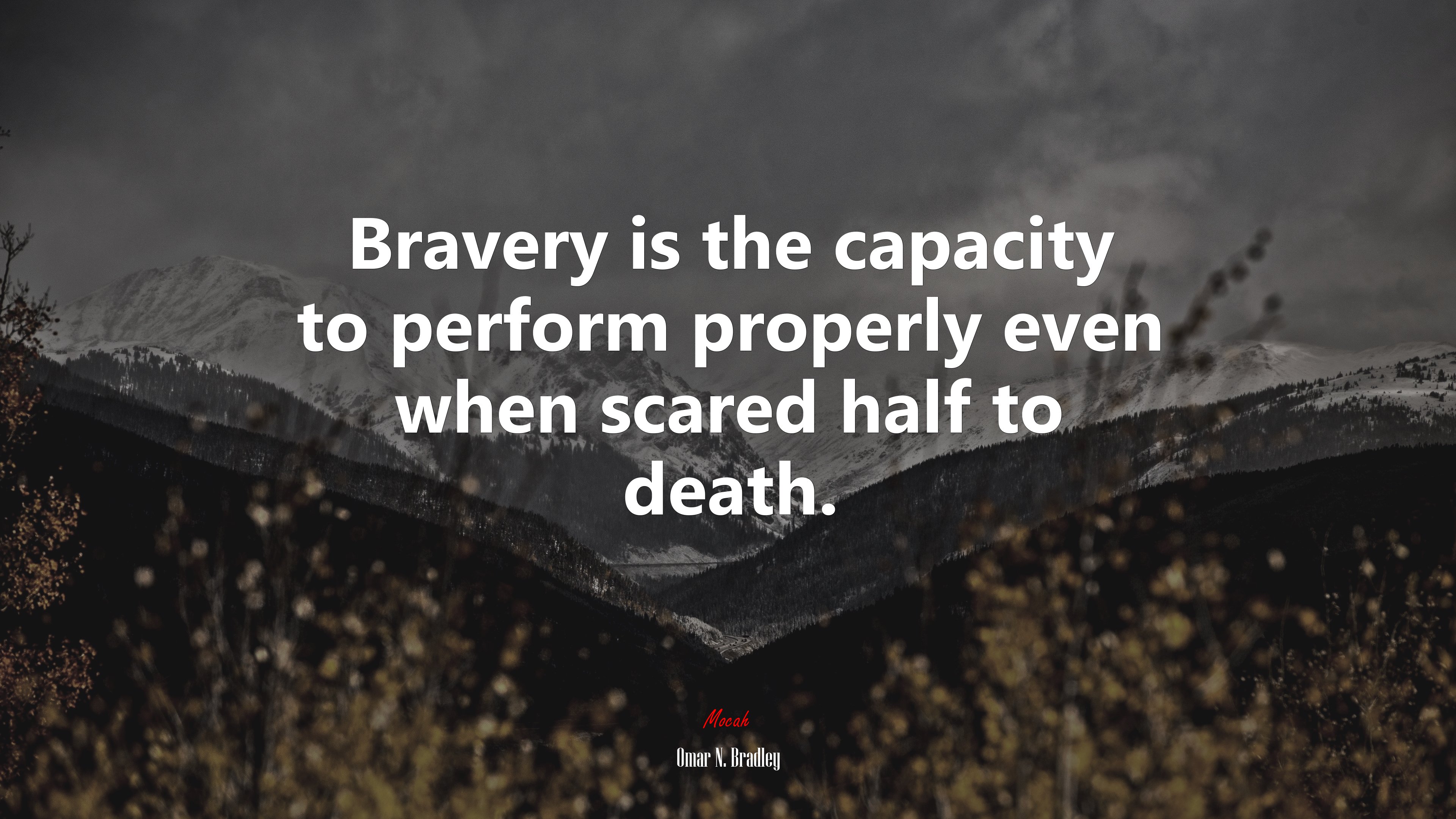 Bravery is the capacity to perform properly even when scared half to death. | Omar N. Bradley quote HD Wallpaper