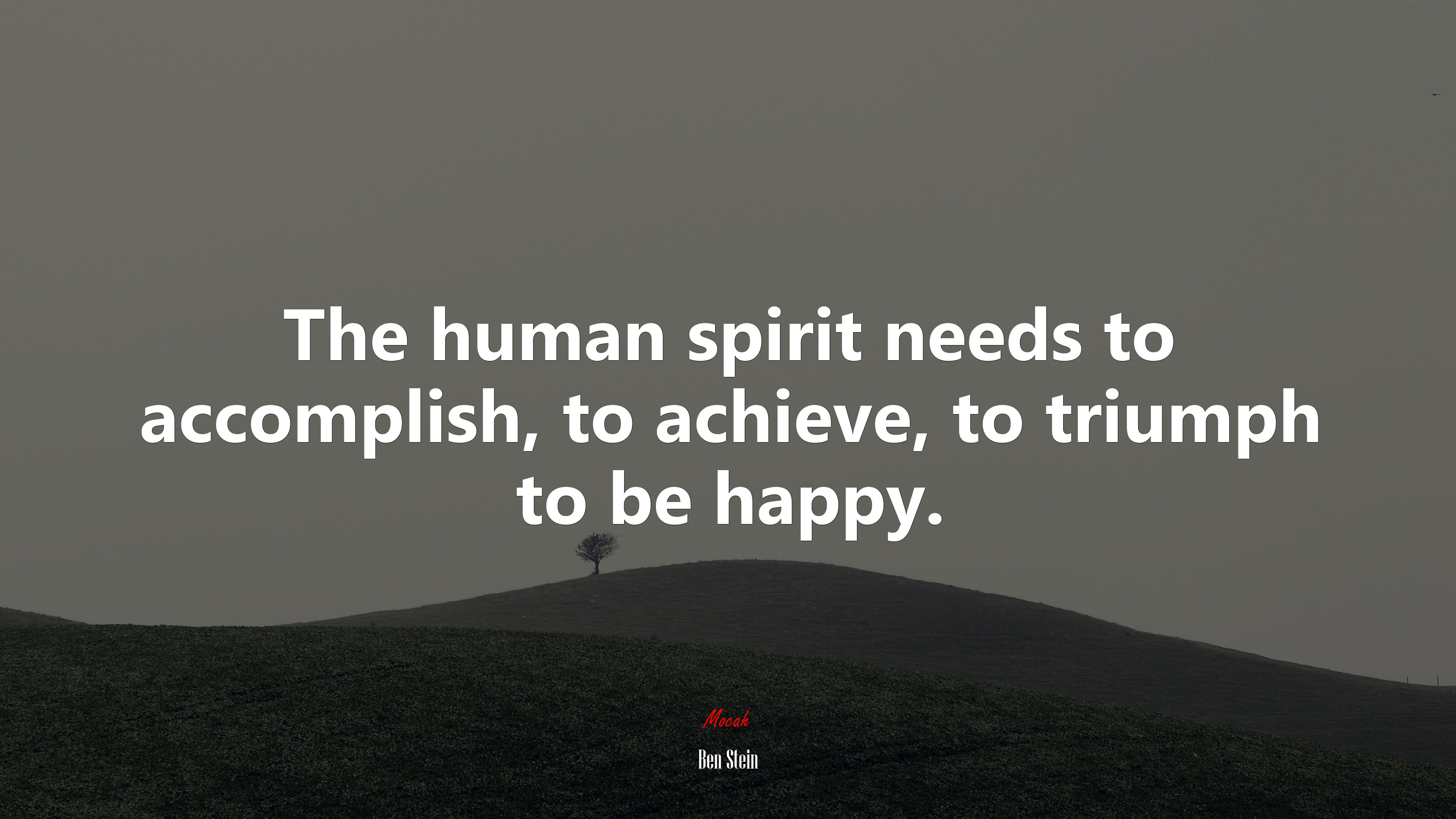 The human spirit needs to accomplish, to achieve, to triumph to be happy. | Ben Stein quote HD Wallpaper