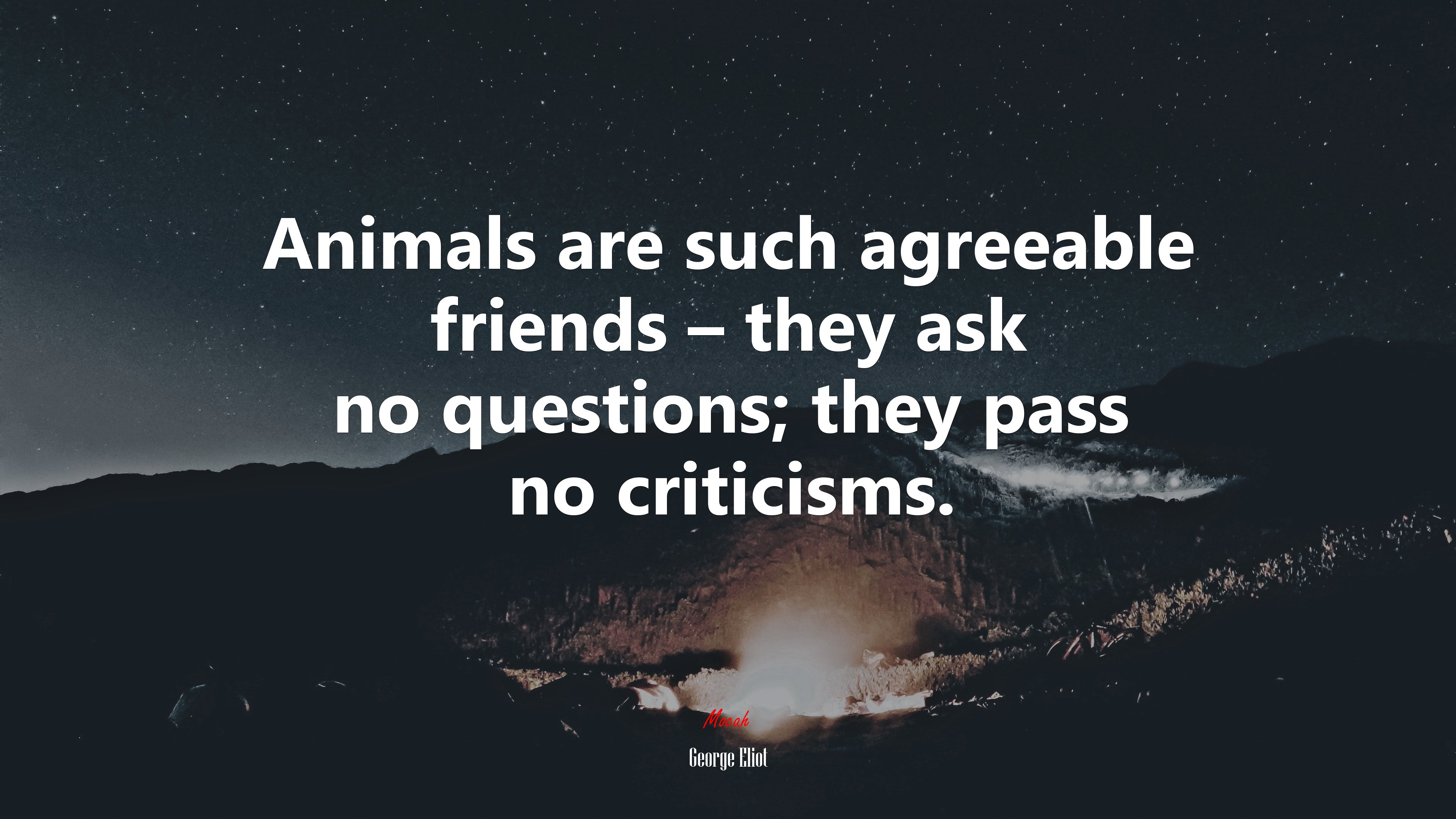 Animals are such agreeable friends – they ask no questions; they pass no criticisms. | George Eliot quote HD Wallpaper