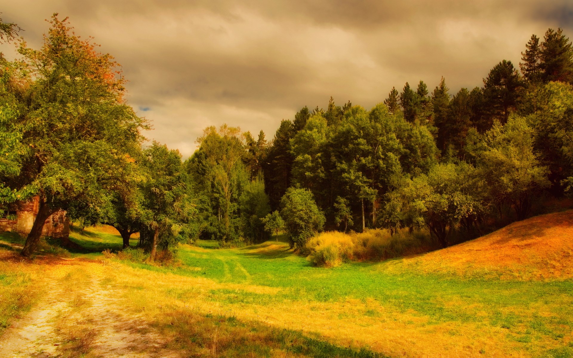 Autumn landscape with trees and a dirt path HD Wallpaper