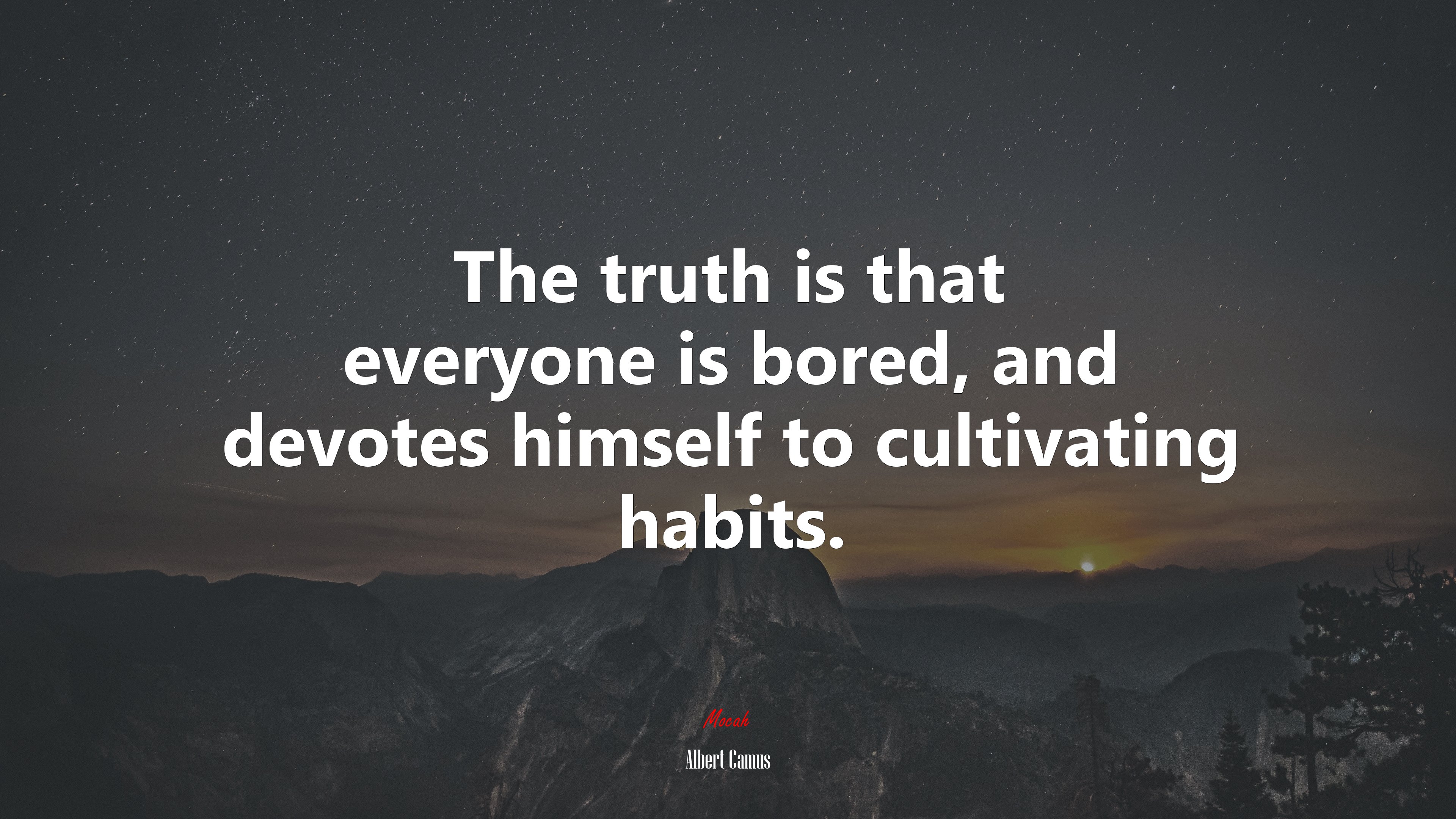The truth is that everyone is bored, and devotes himself to cultivating habits. | Albert Camus quote HD Wallpaper