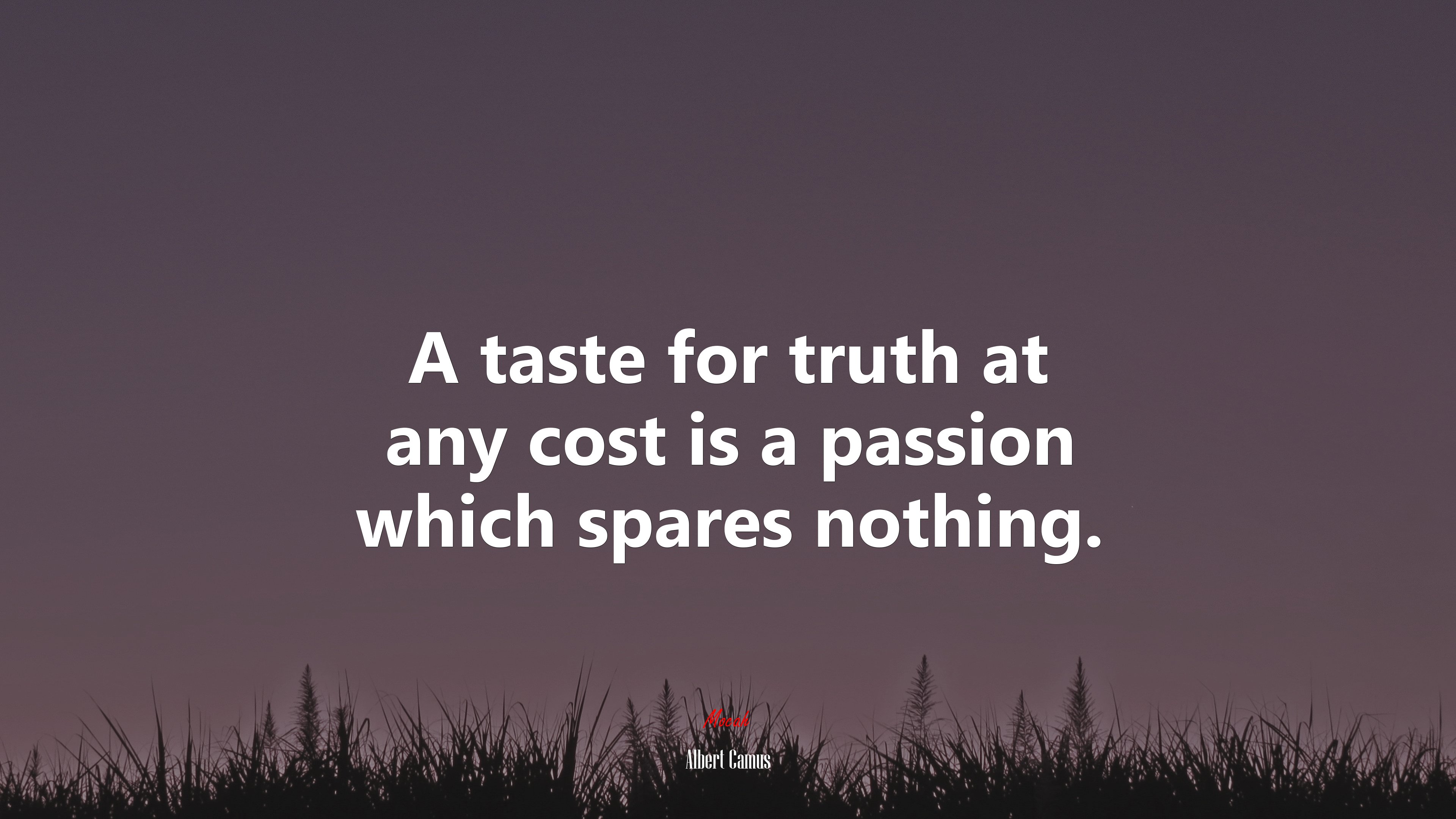 A taste for truth at any cost is a passion which spares nothing. | Albert Camus quote HD Wallpaper