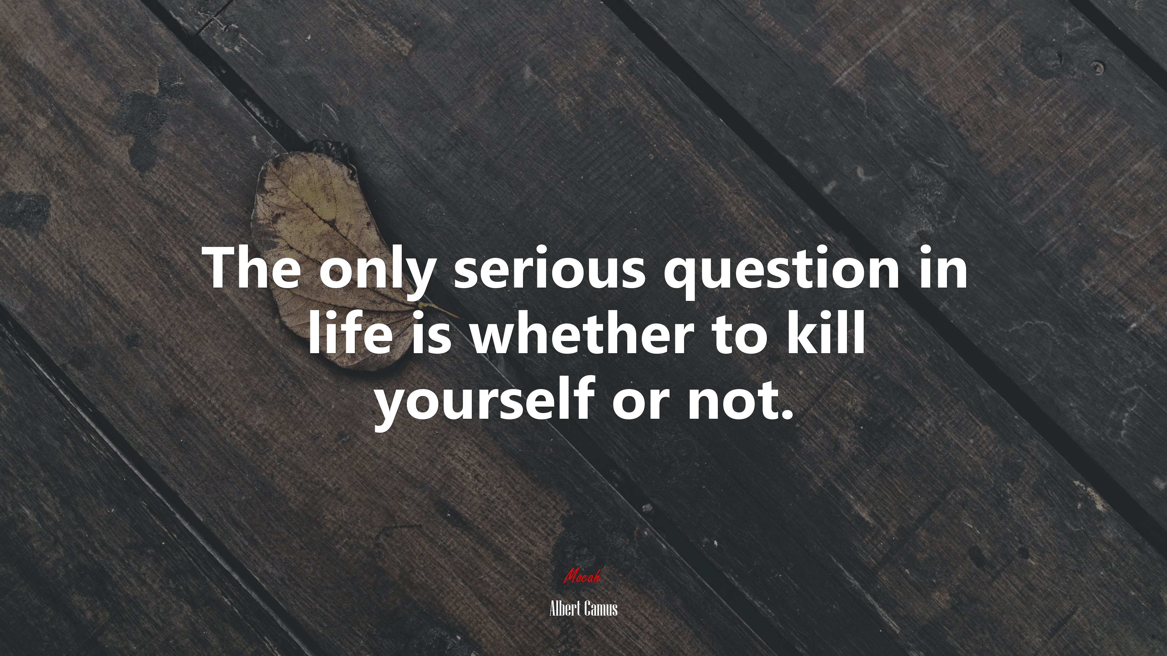 The only serious question in life is whether to kill yourself or not. | Albert Camus quote HD Wallpaper