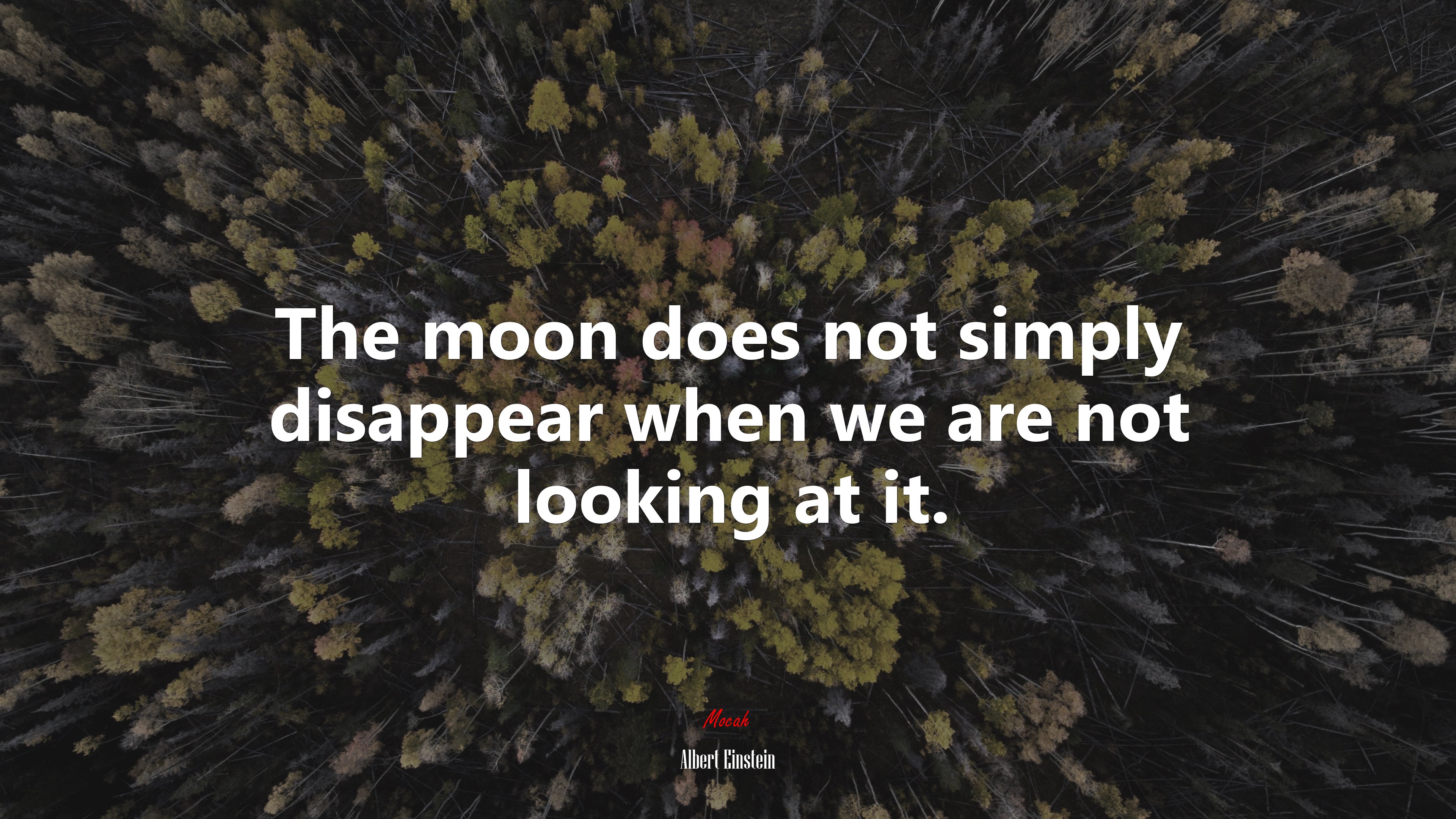 The moon does not simply disappear when we are not looking at it. | Albert Einstein quote HD Wallpaper