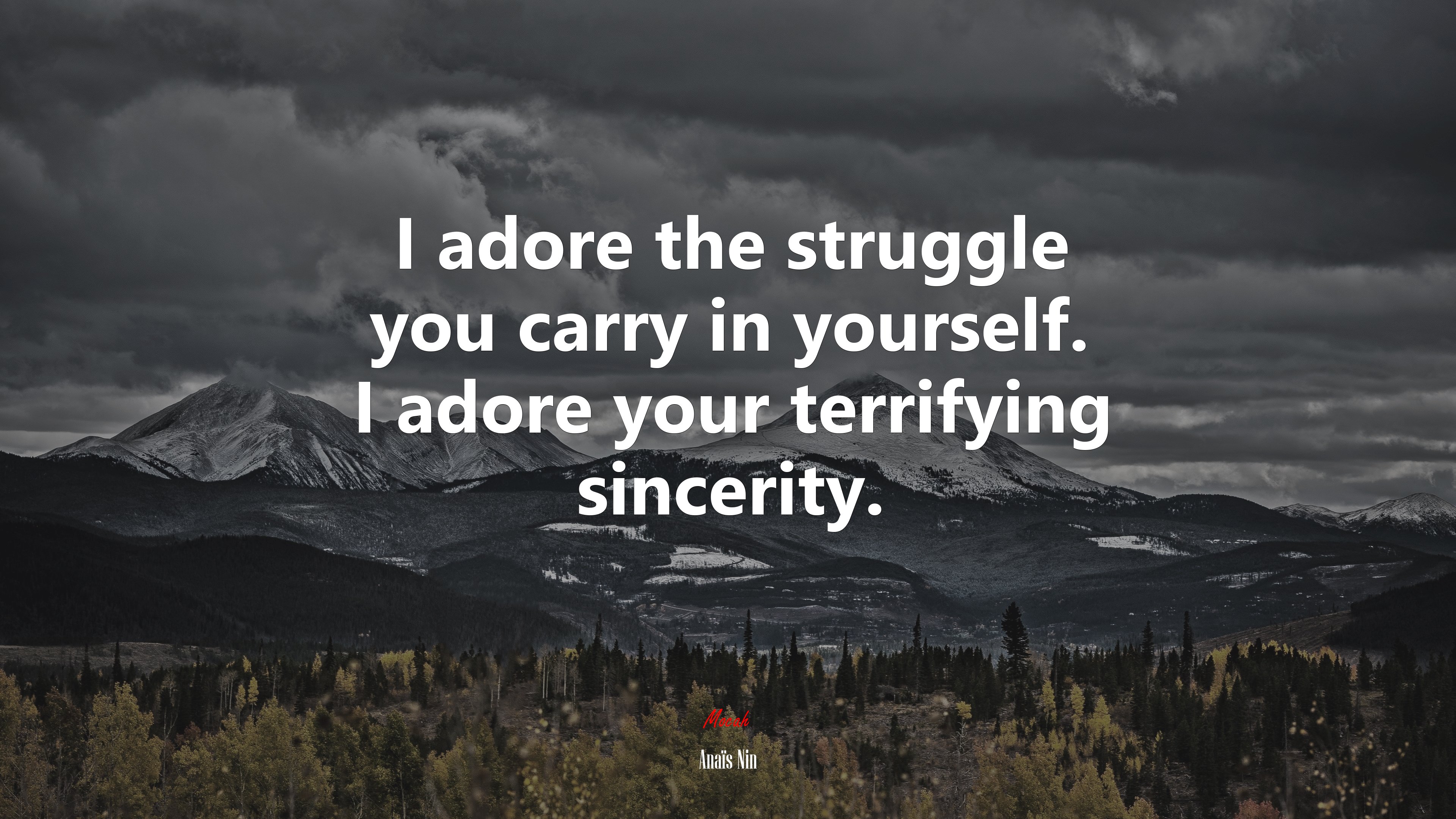 I adore the struggle you carry in yourself. I adore your terrifying sincerity. | Anaïs Nin quote HD Wallpaper