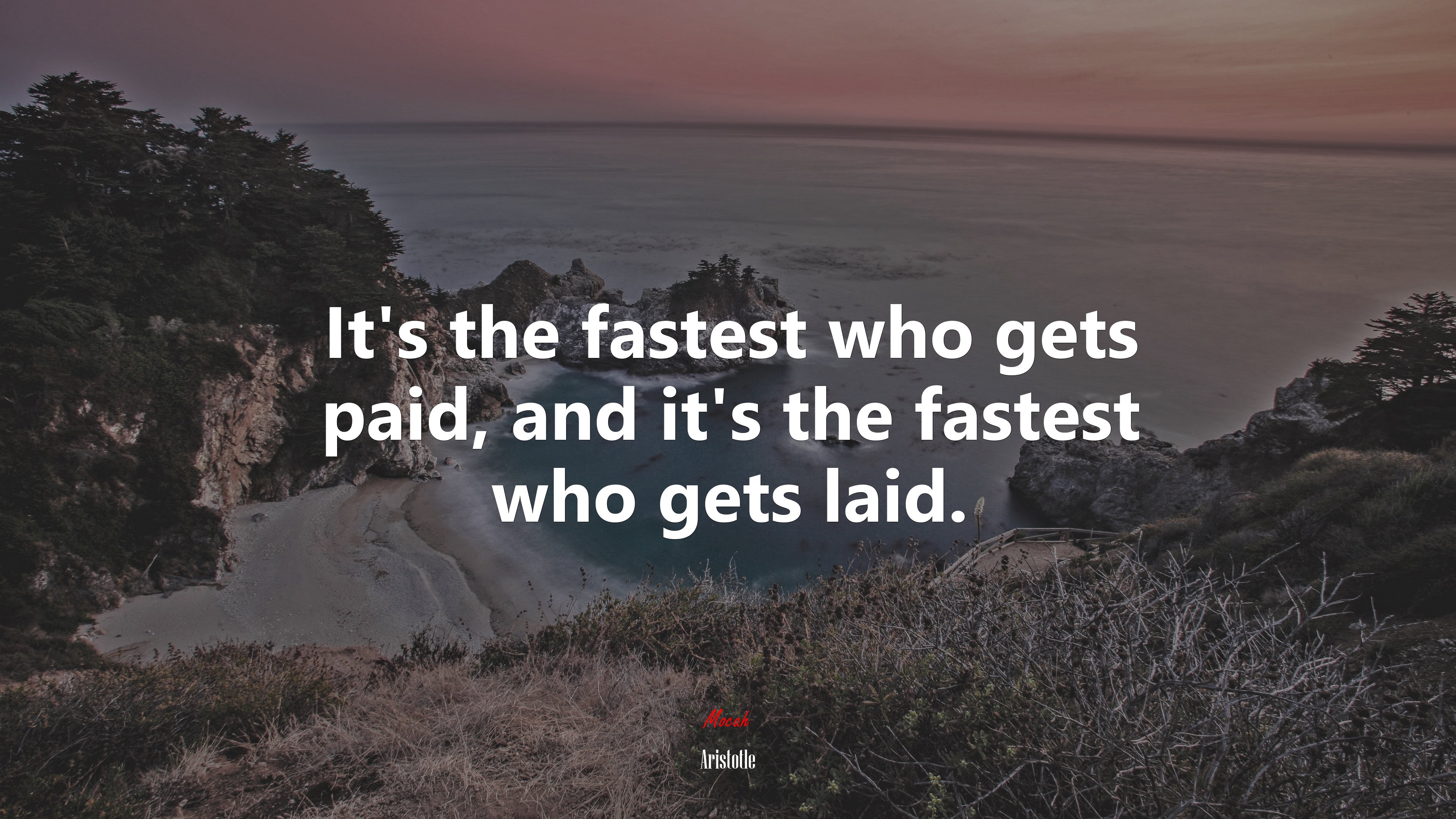 It’s the fastest who gets paid, and it’s the fastest who gets laid. | Aristotle quote HD Wallpaper