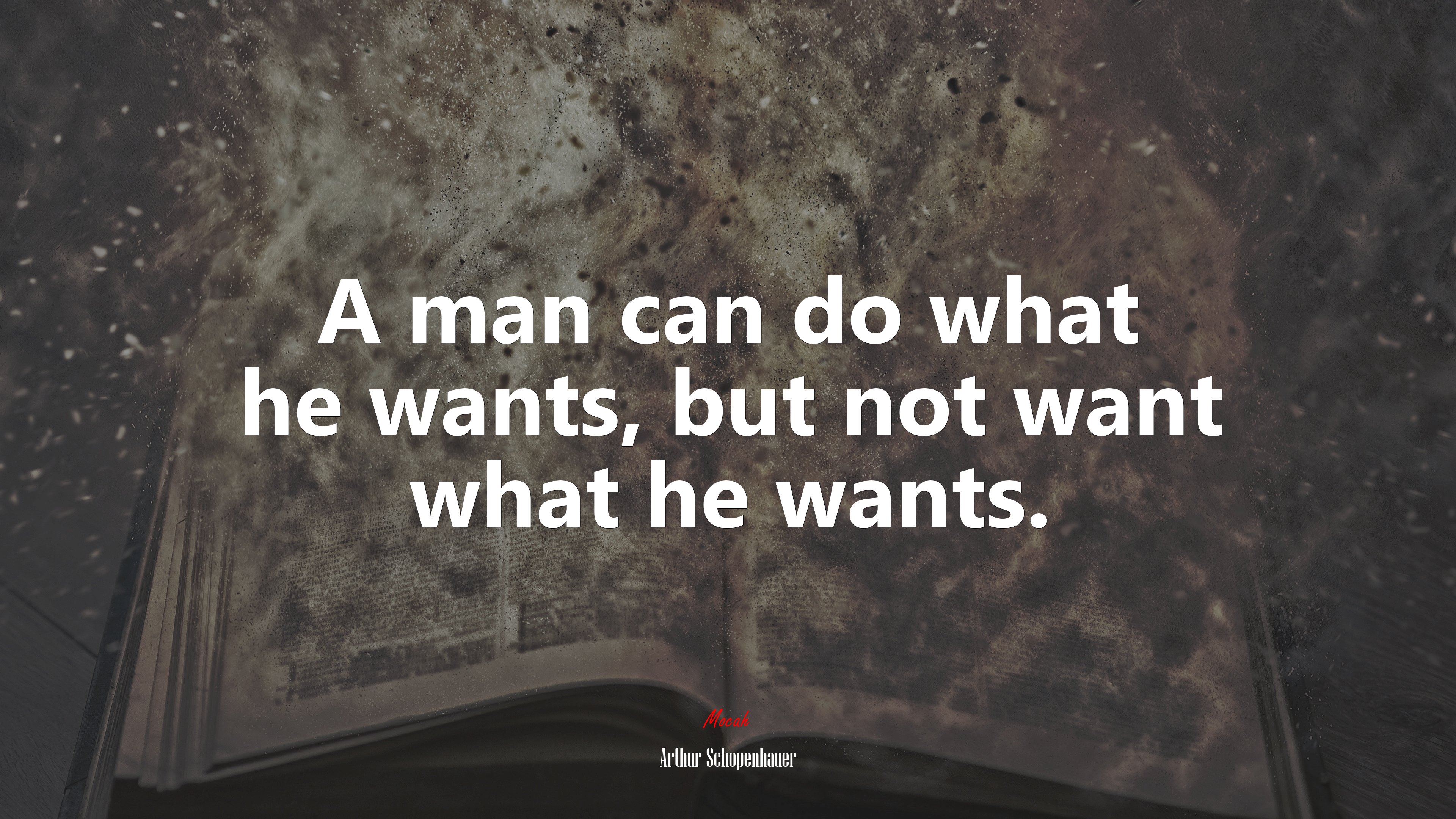 A man can do what he wants, but not want what he wants. | Arthur Schopenhauer quote HD Wallpaper